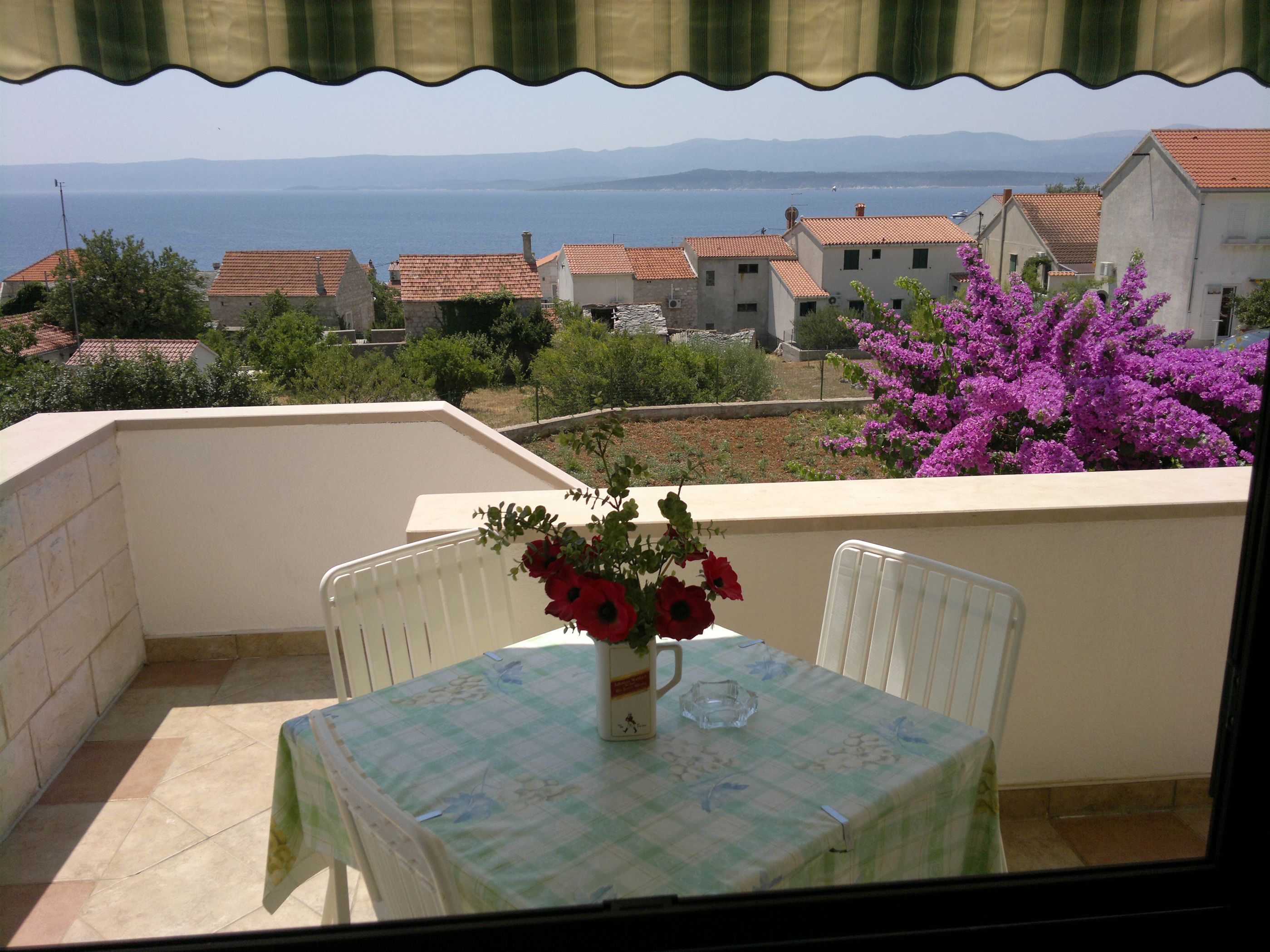 Apartments Fani 38581-A1