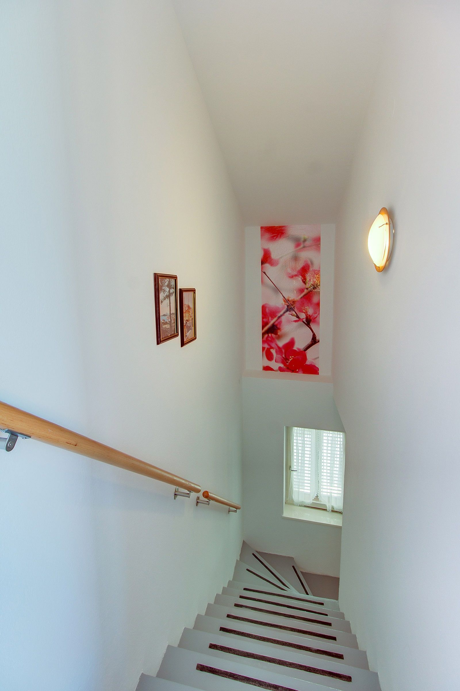 House ZDENKO 17517-K1