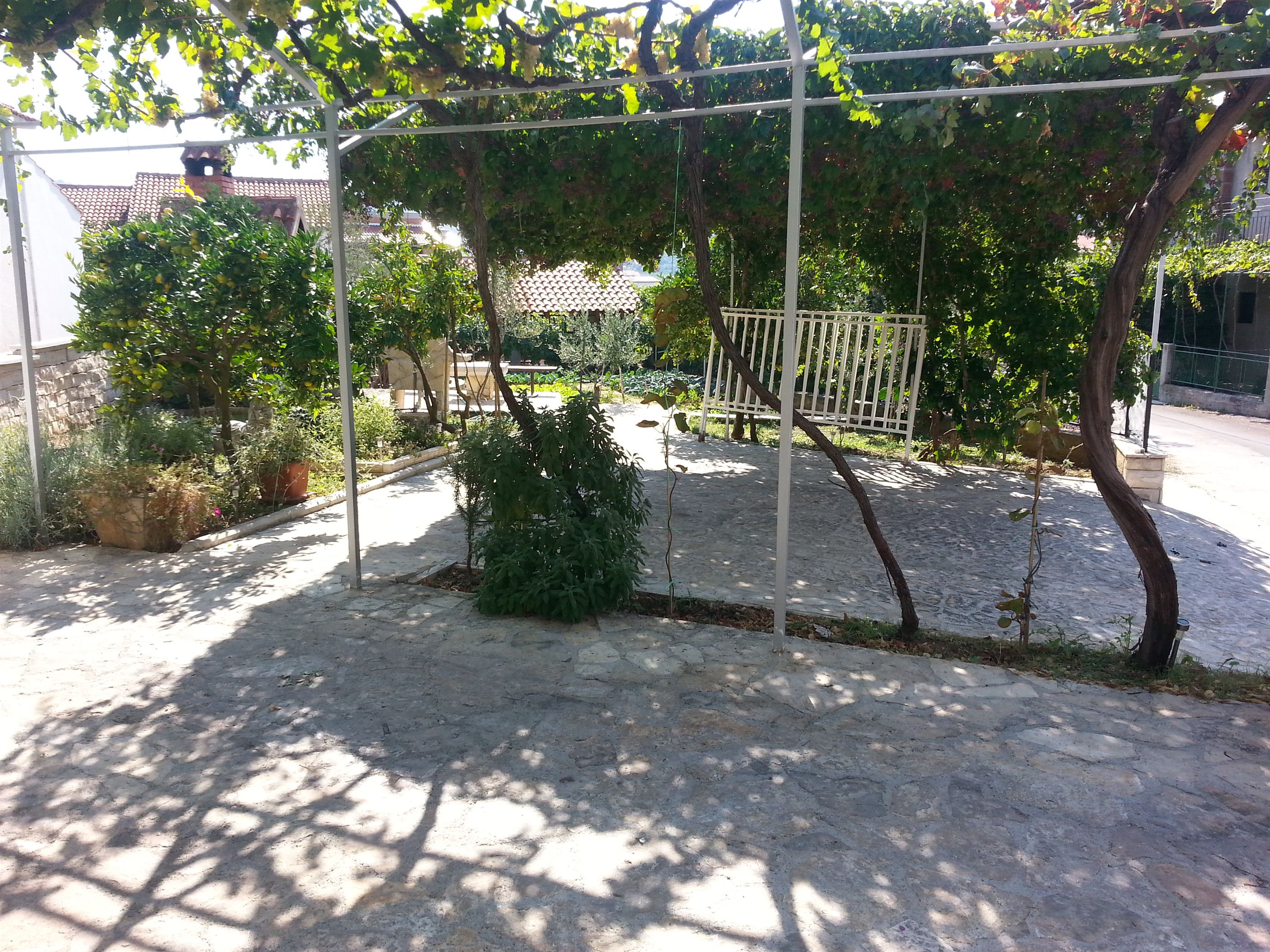 Apartment Branka 30471-A1