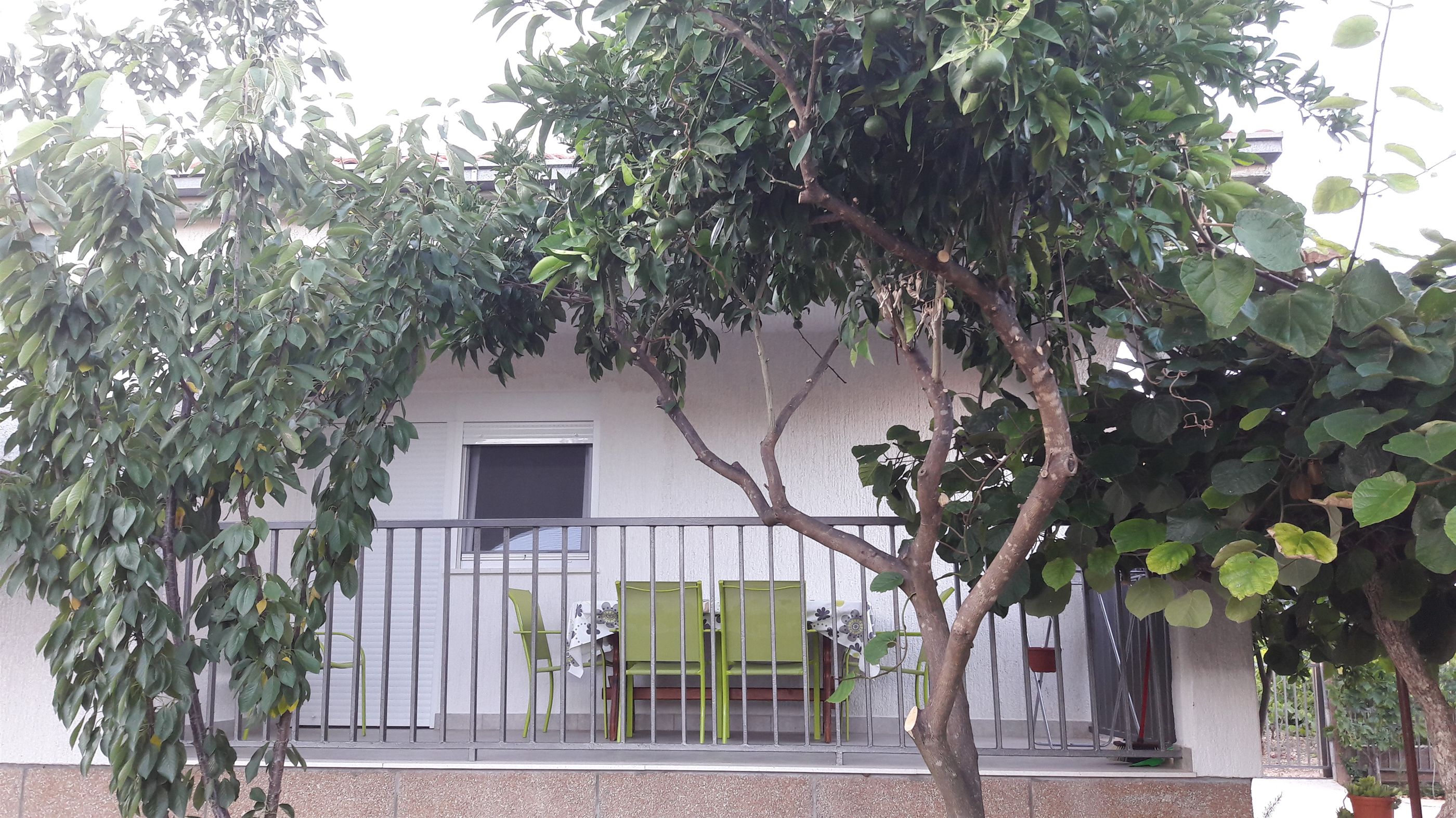 Apartment Branko 30472-A1