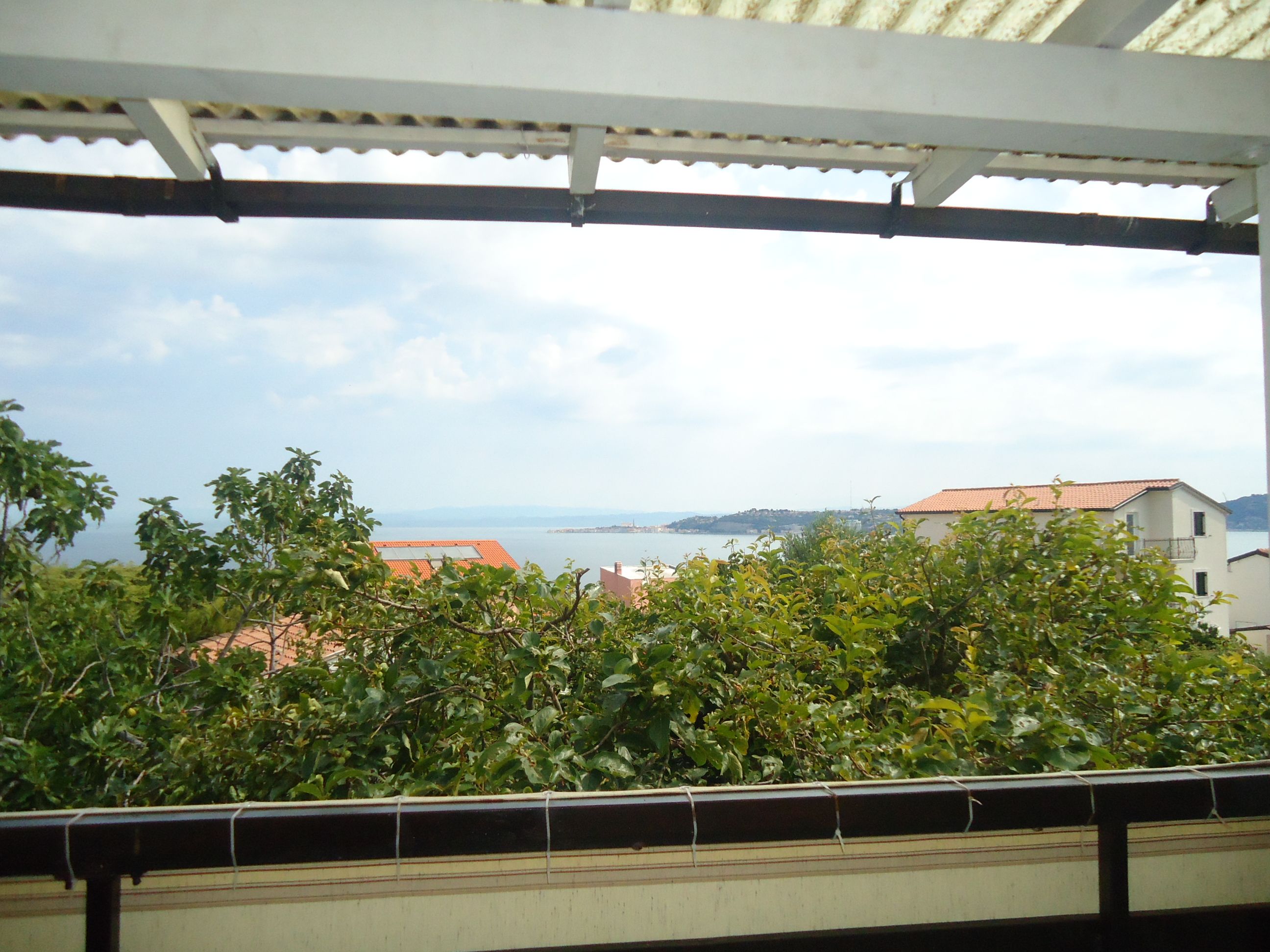 Apartment MARKO 17489-A1