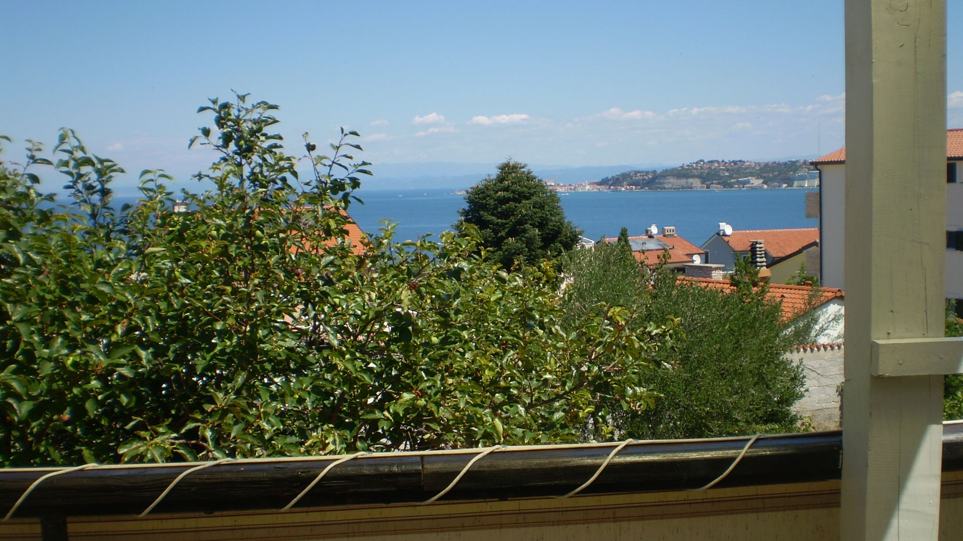 Apartment MARKO 17489-A1