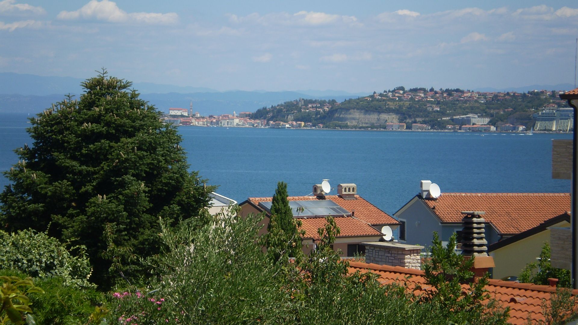 Apartment MARKO 17489-A1