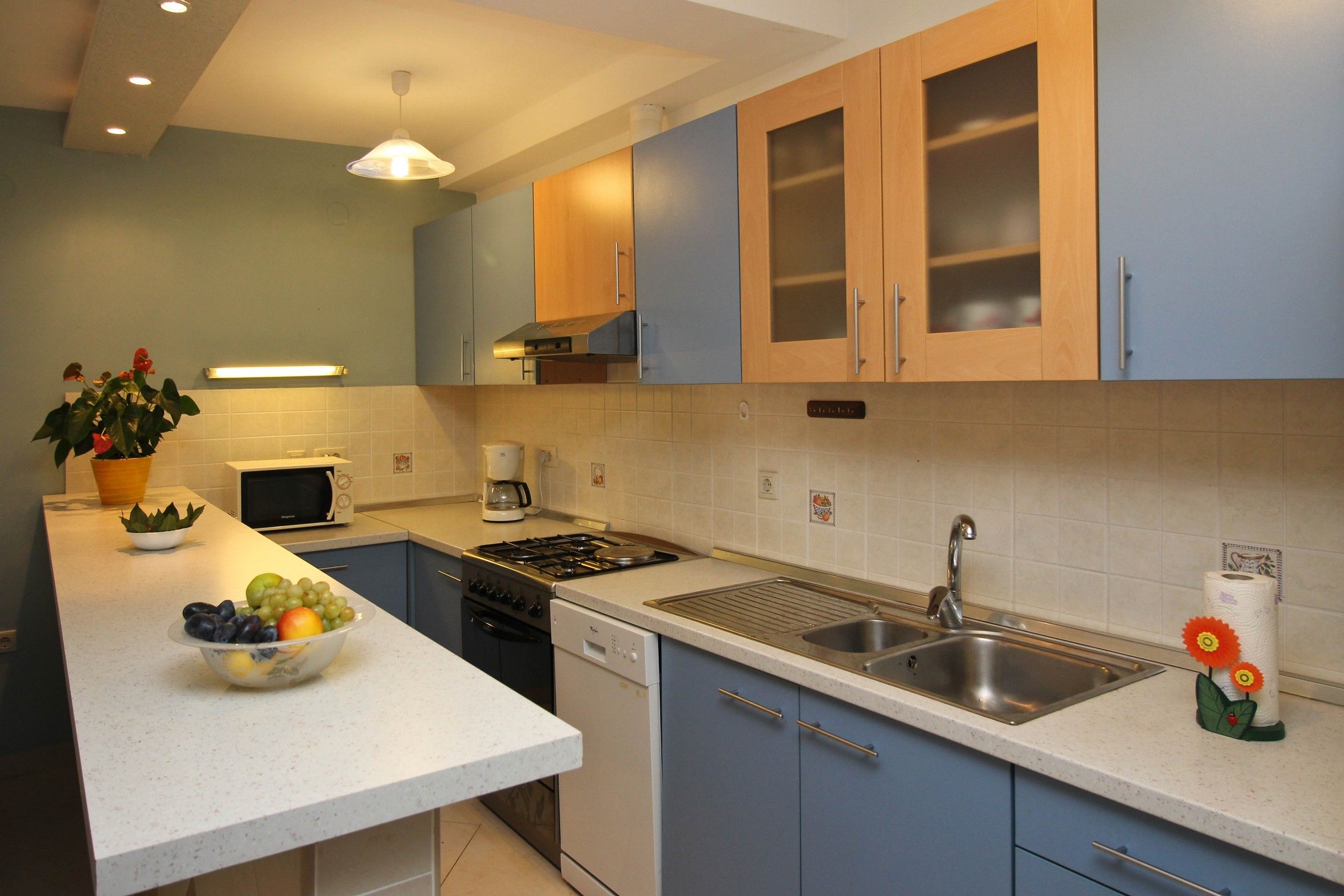 Apartments Vila TIHA 63775-A1