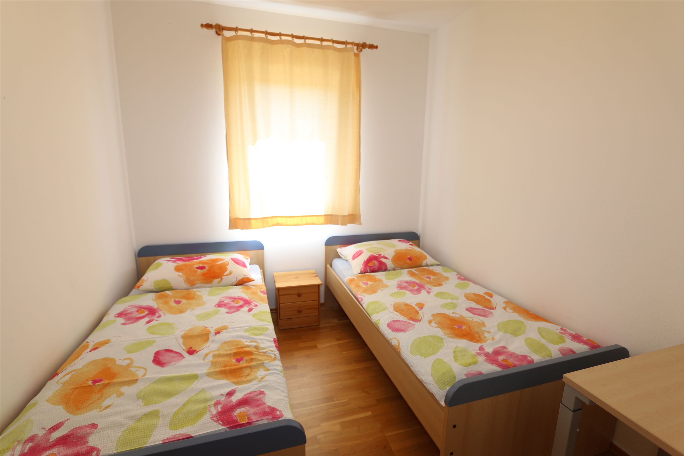 Apartments Dudovic Darko 10035-A4