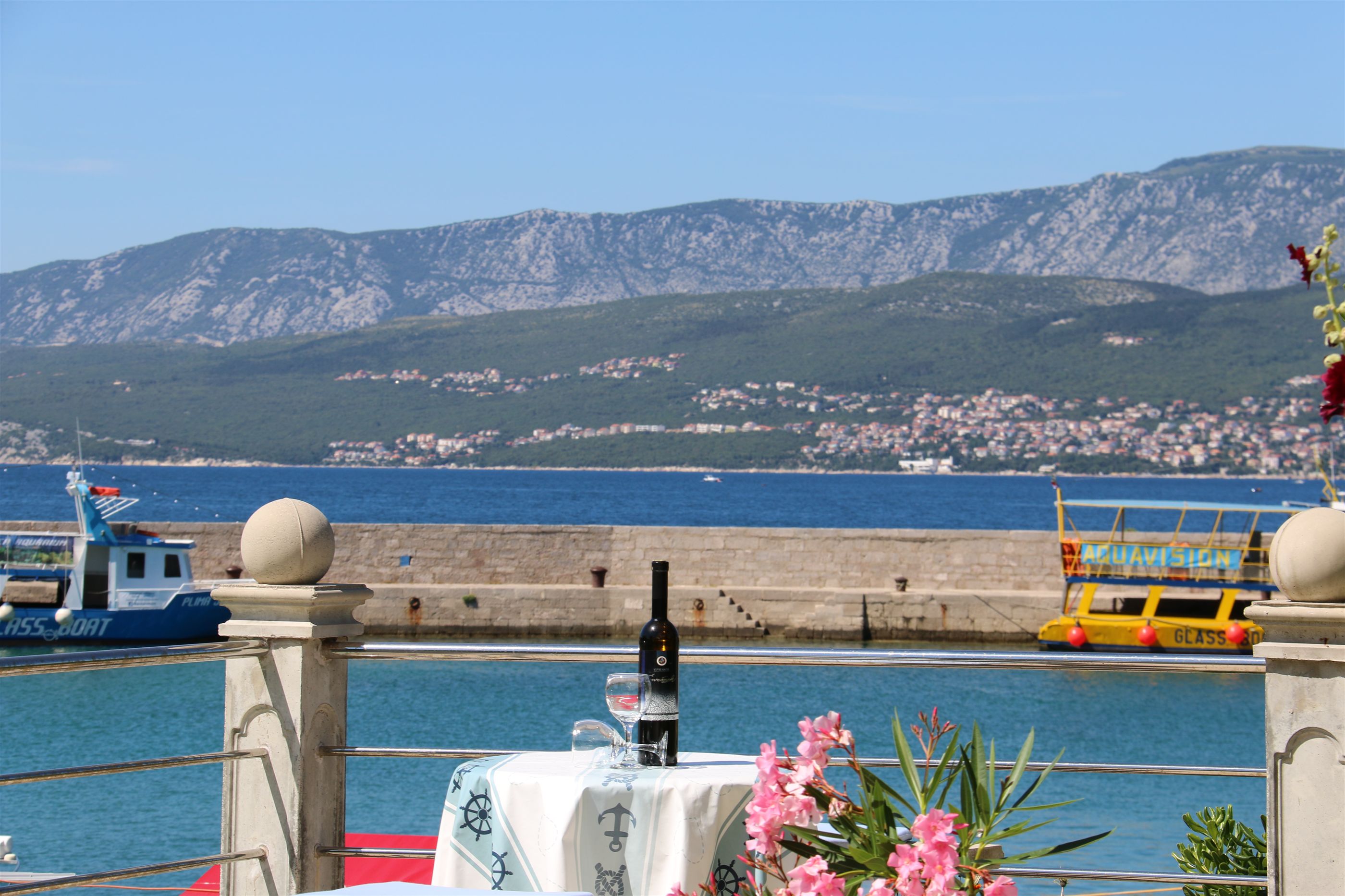 Apartments Jelenovic Ivana 10078-A1