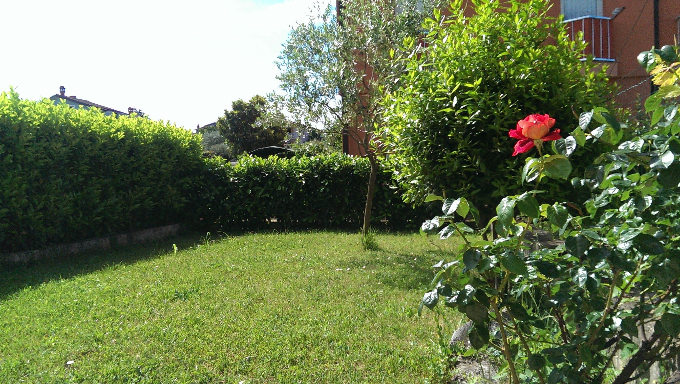 Apartment Anto 71761-A2