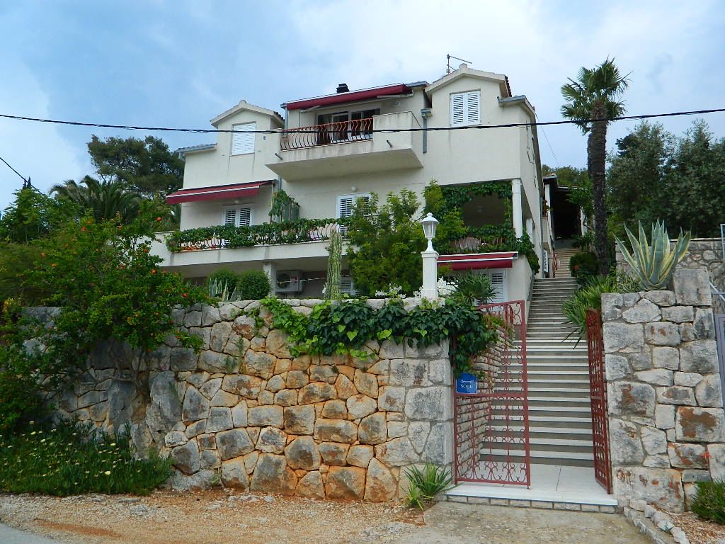 Apartment and Room Darinka 35551-S1