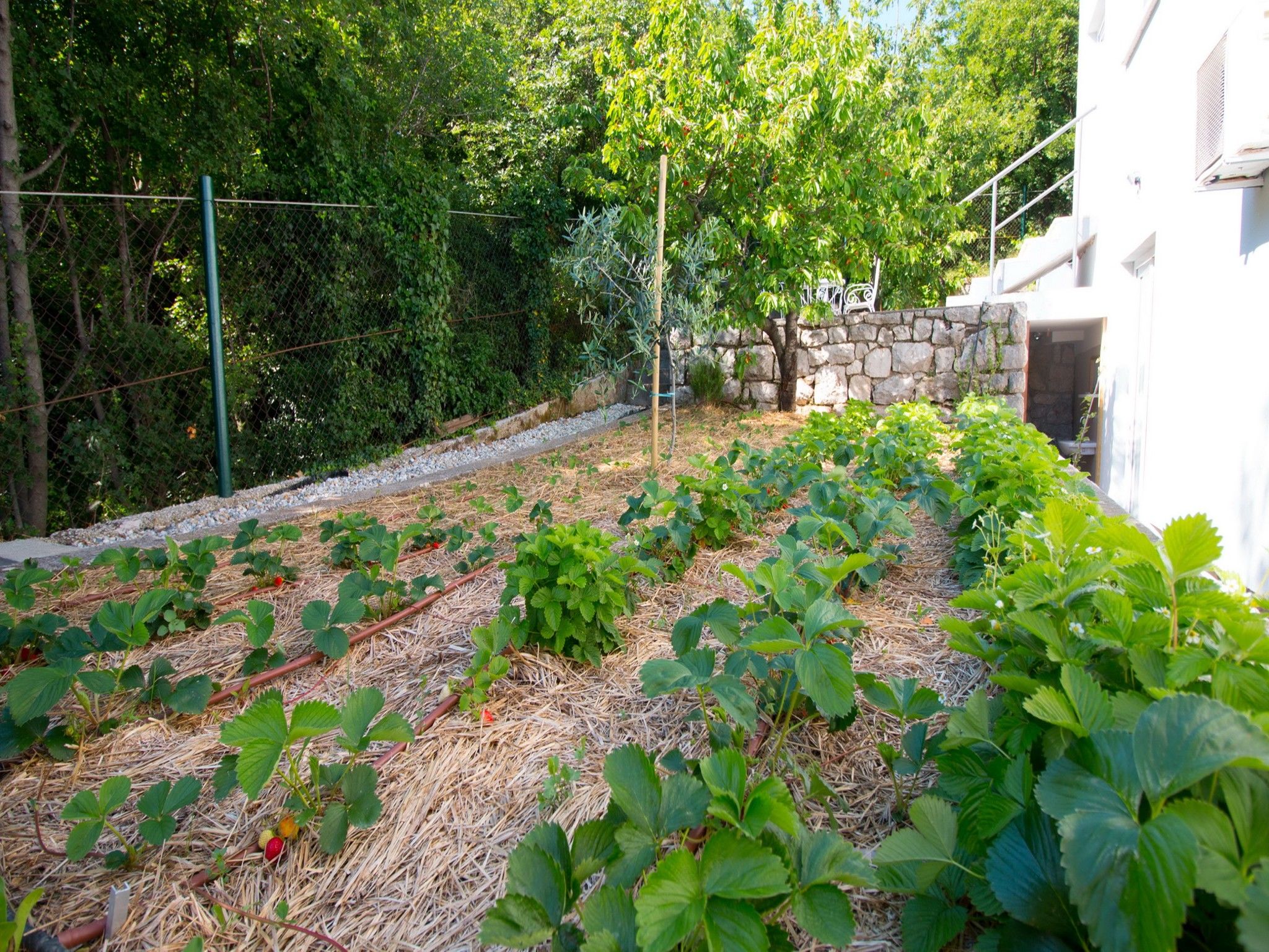 Villa GARDENS V6621-K1