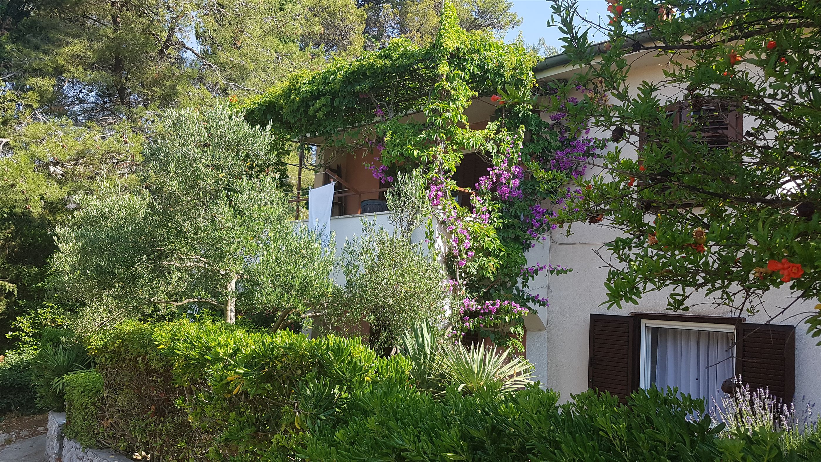 Apartment Lidija 36611-A1