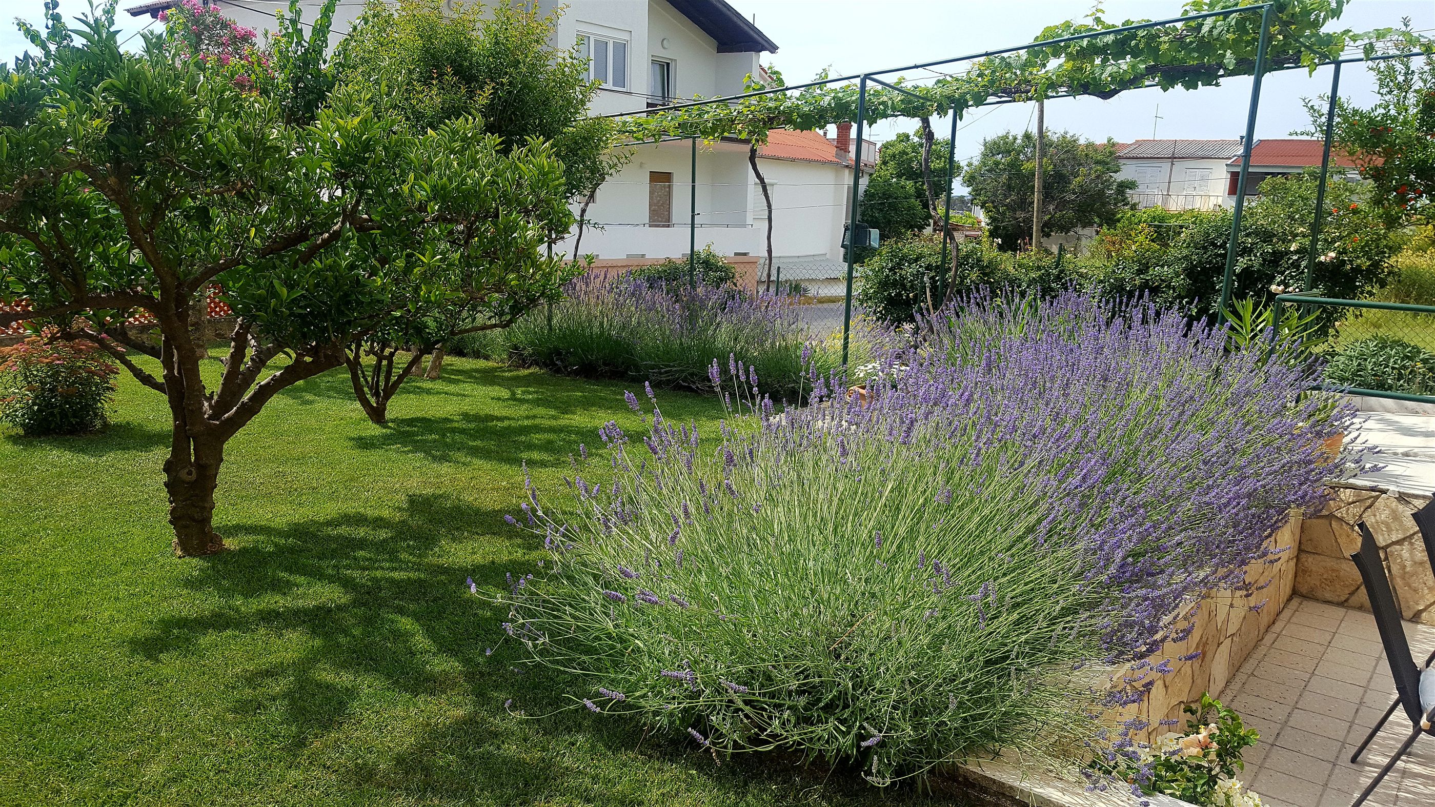 Apartment BRANKA 19511-A1