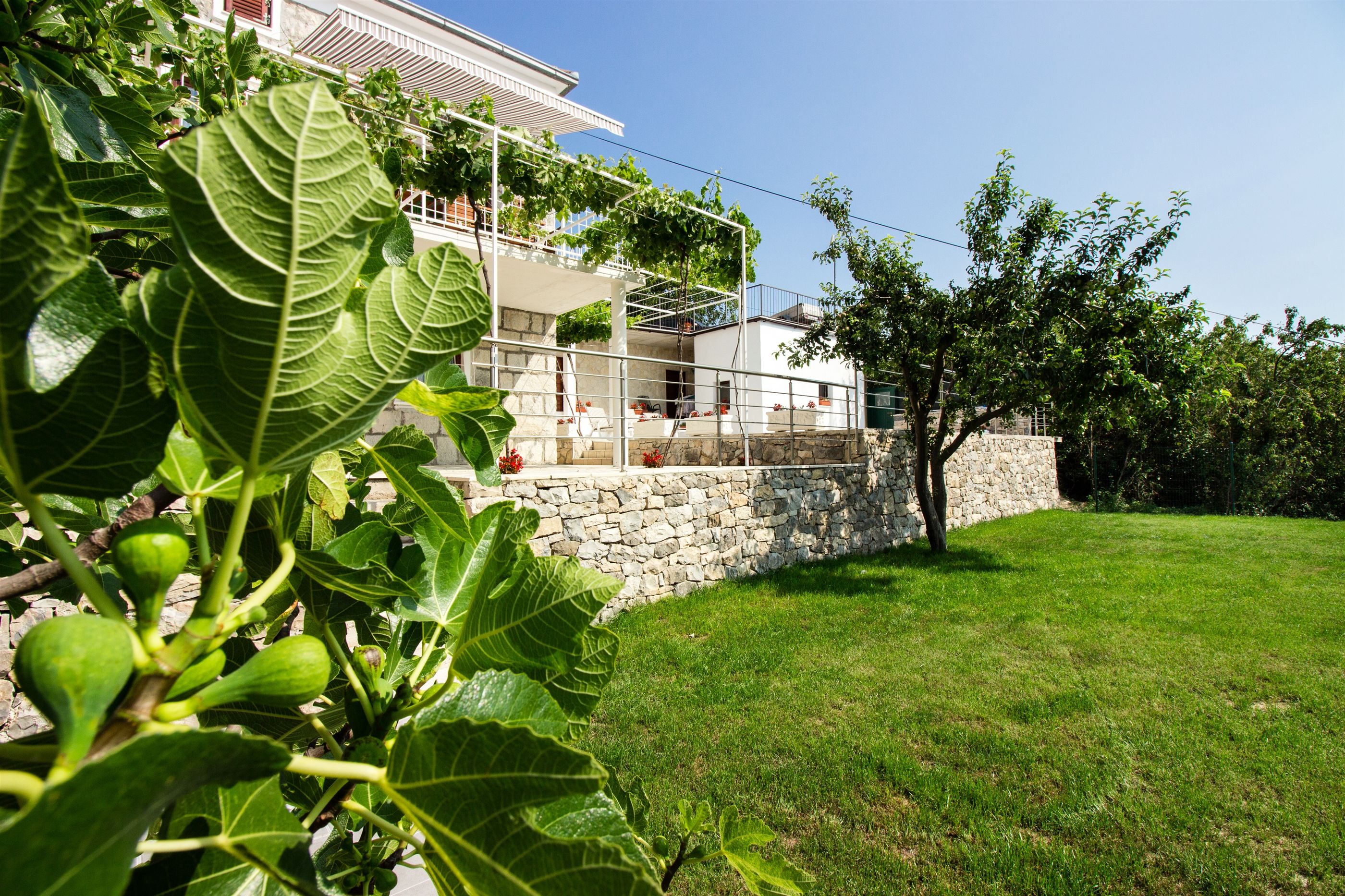 Photo of House Marinka