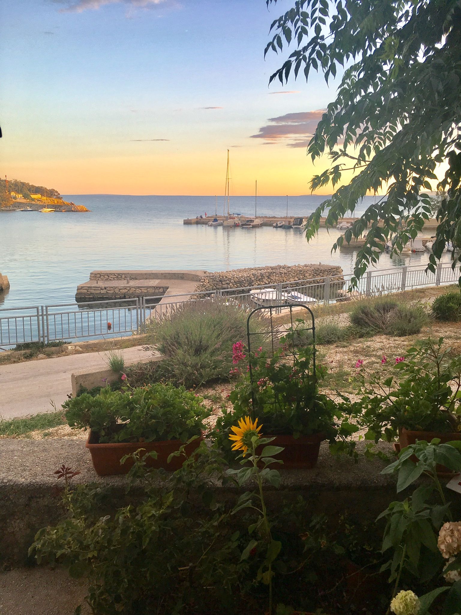 Apartments Suzana 32951-A2