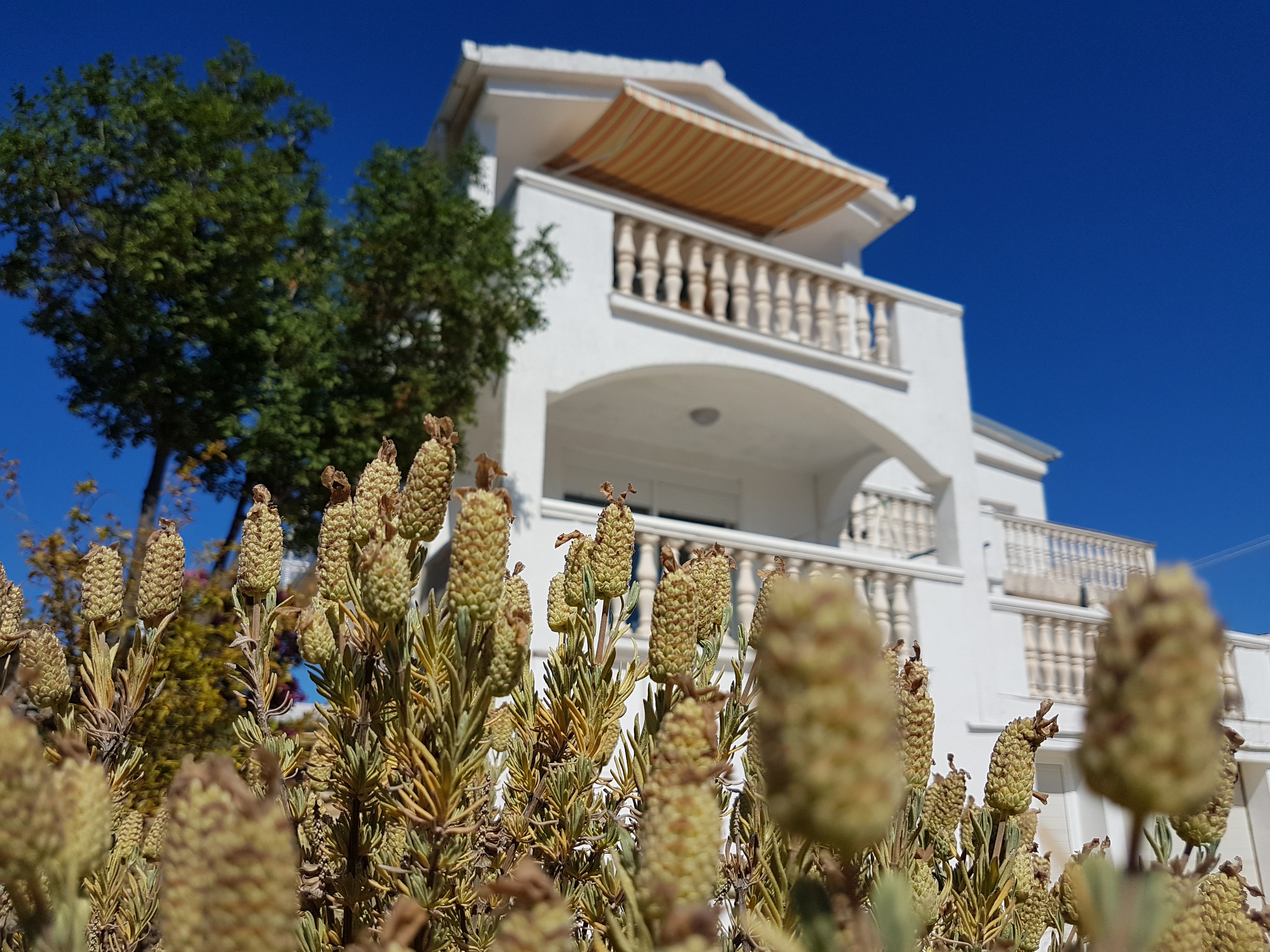 Apartments Adriatic 29391-A1