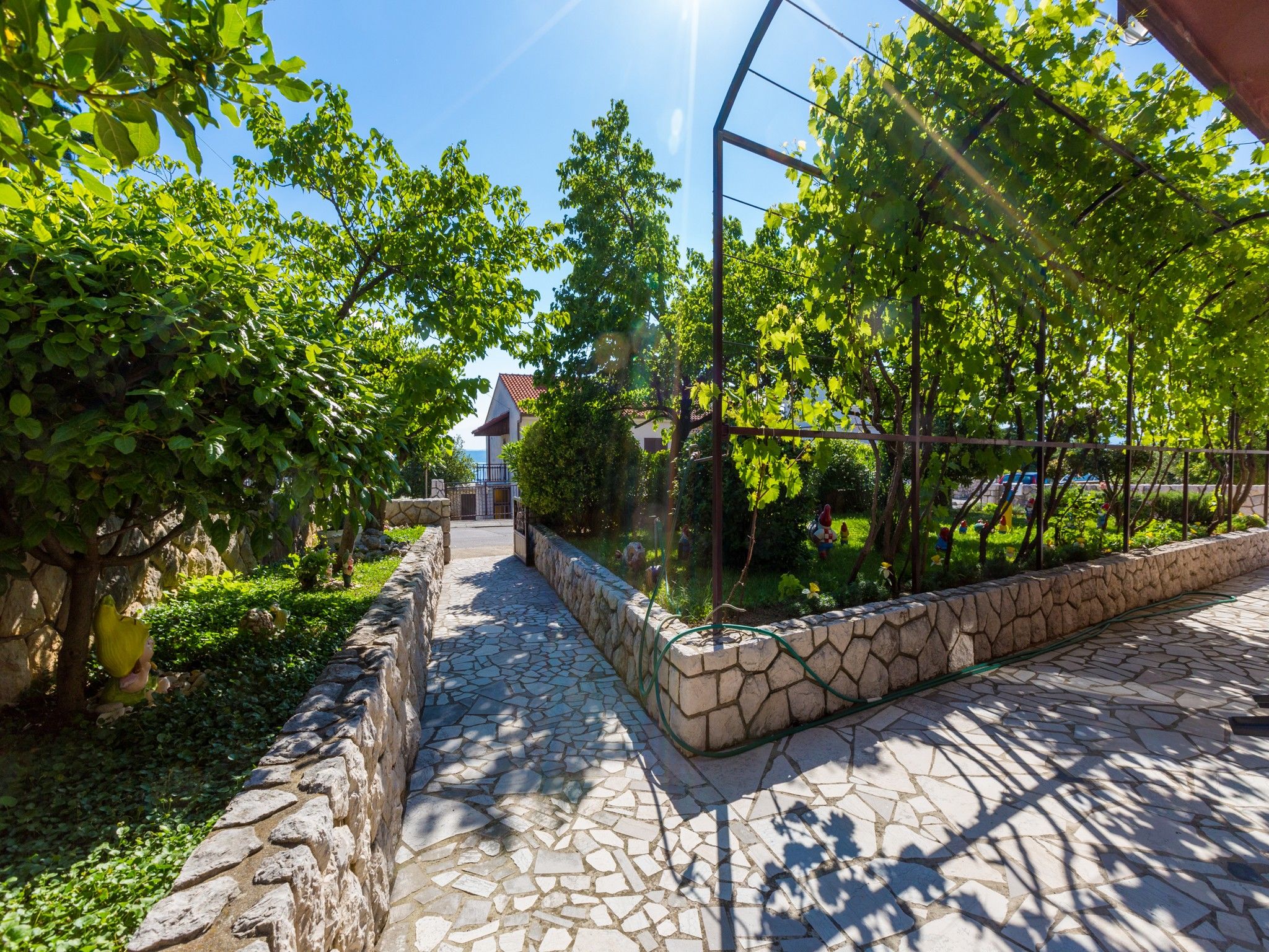 Apartments Davorka 62464-A1