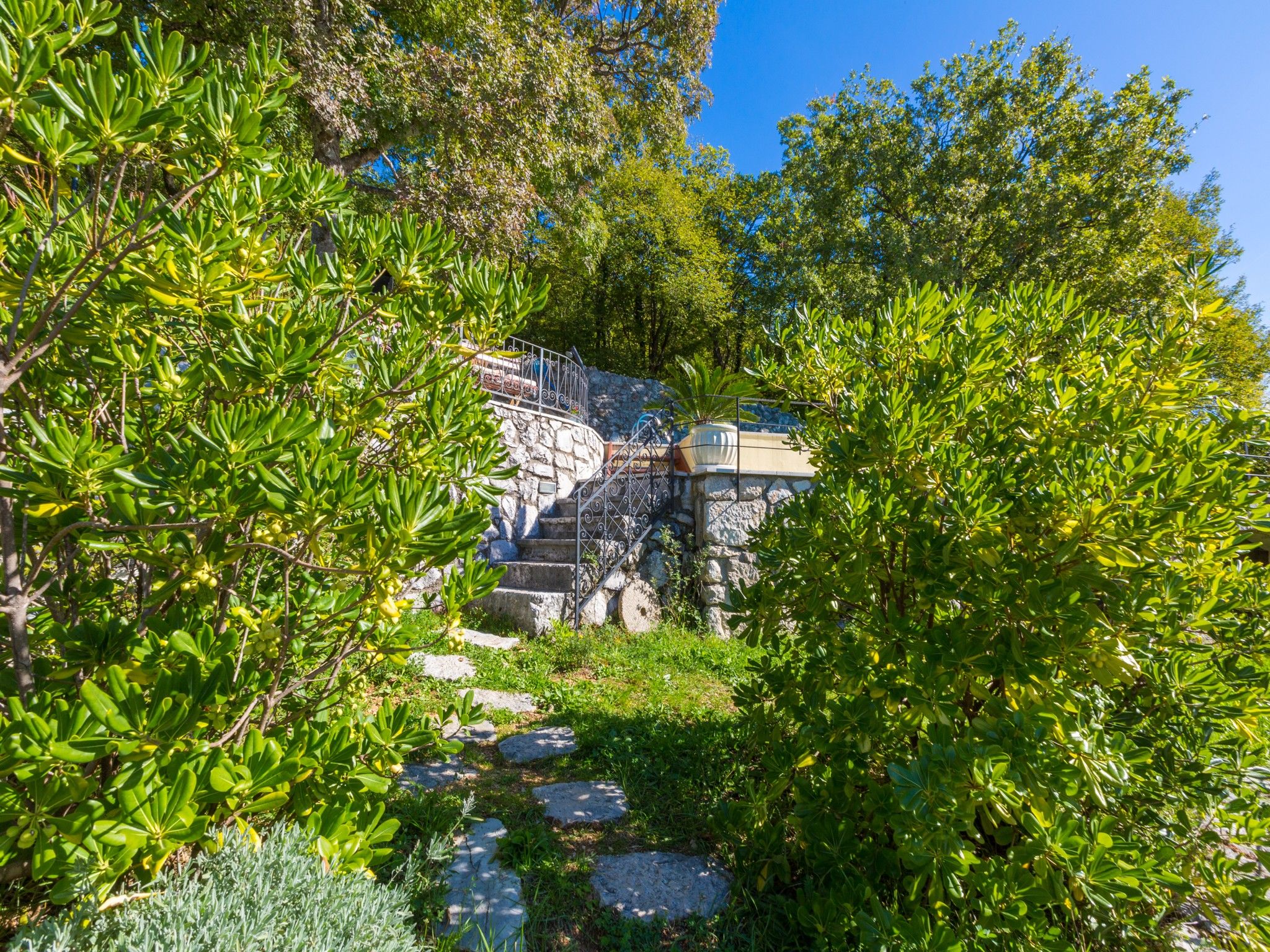 House Casa Rustica 62685-A1
