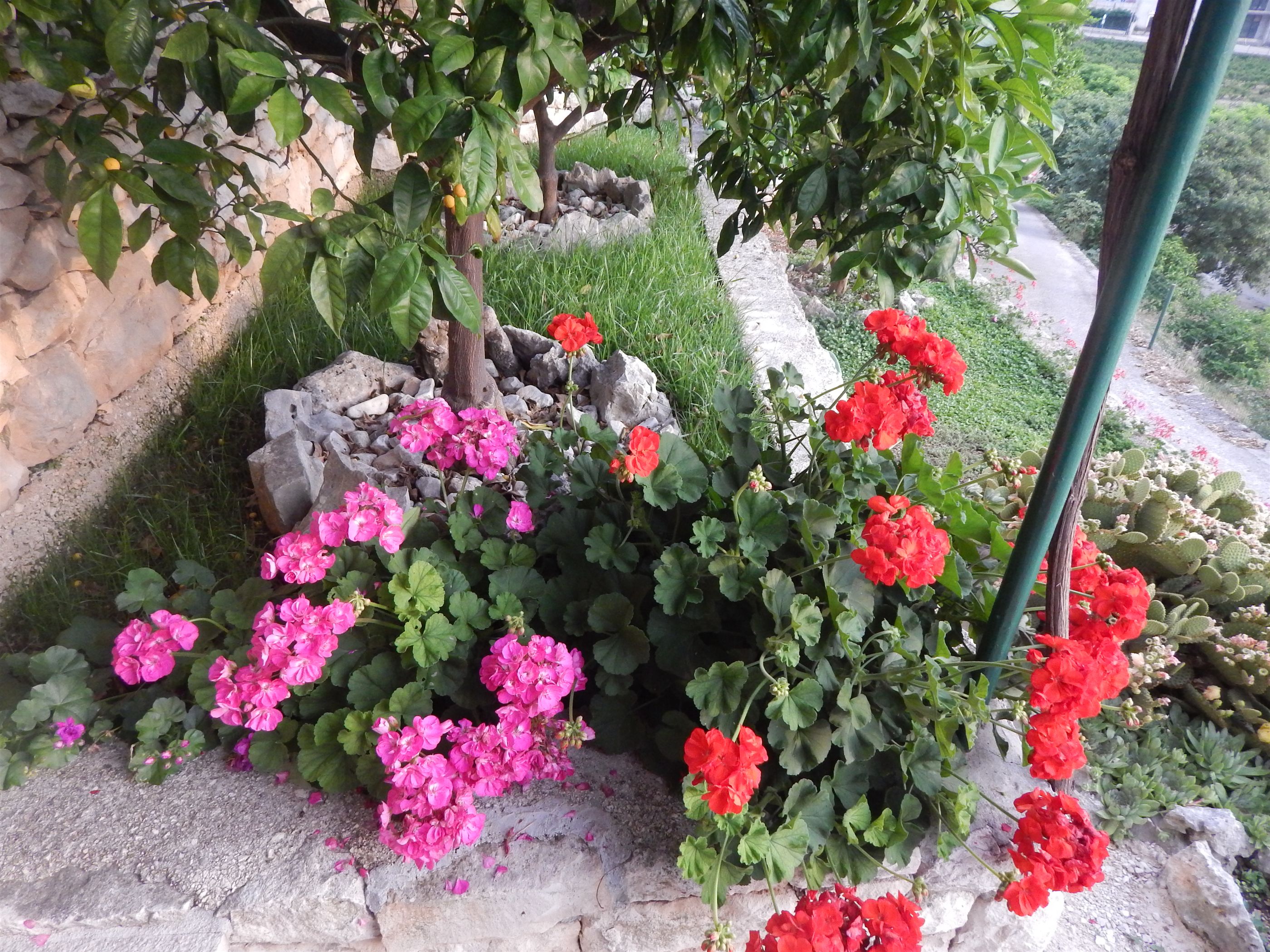 Apartments Neppa 17471-A2