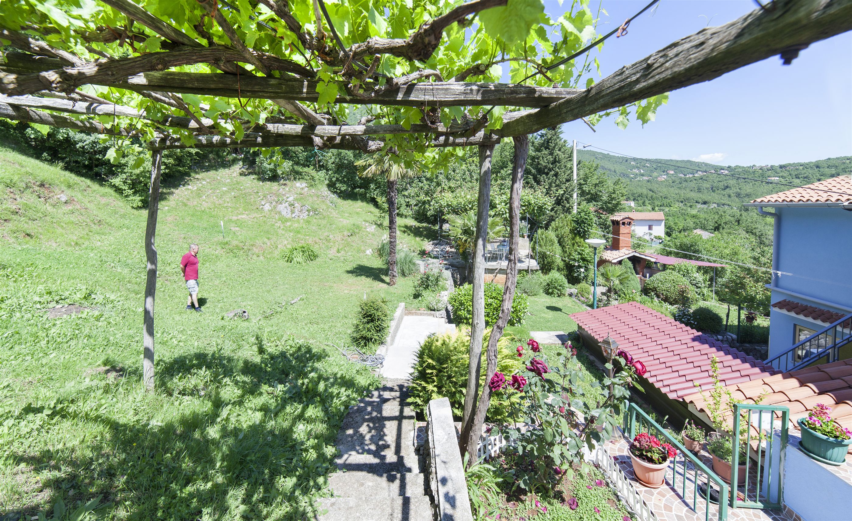 Apartments Anđela 43241-A1
