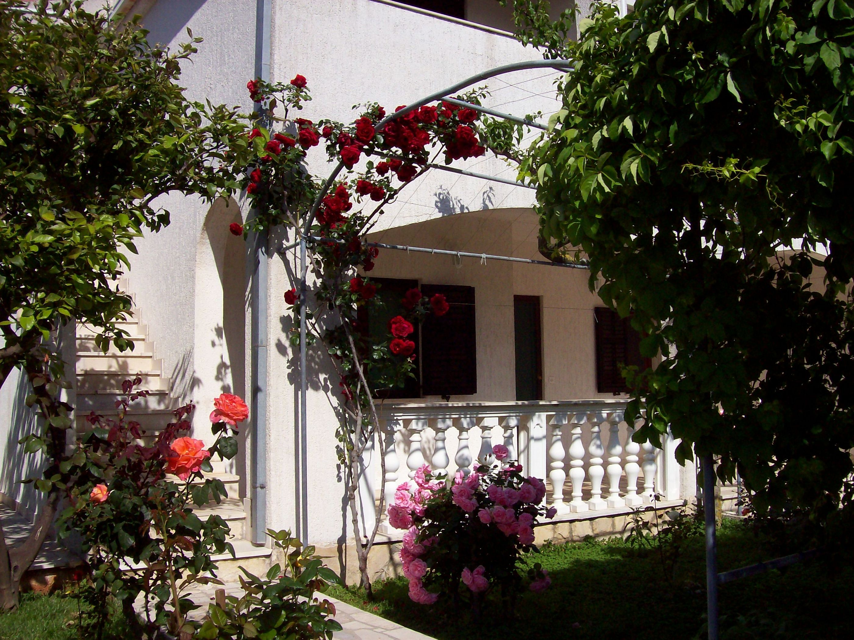 Apartments Barač 41611-A2