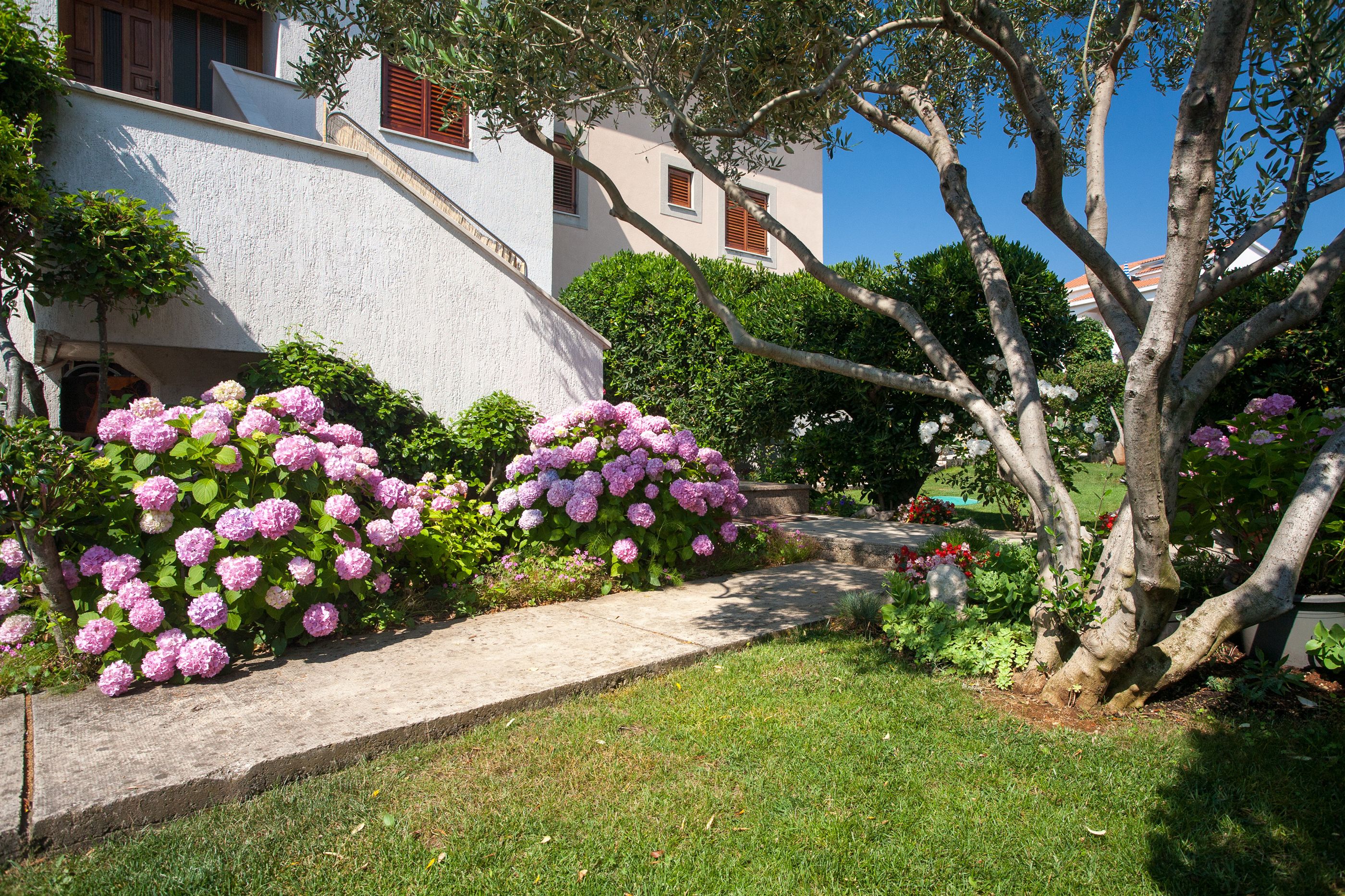 Apartment Smiljana 62032-A1