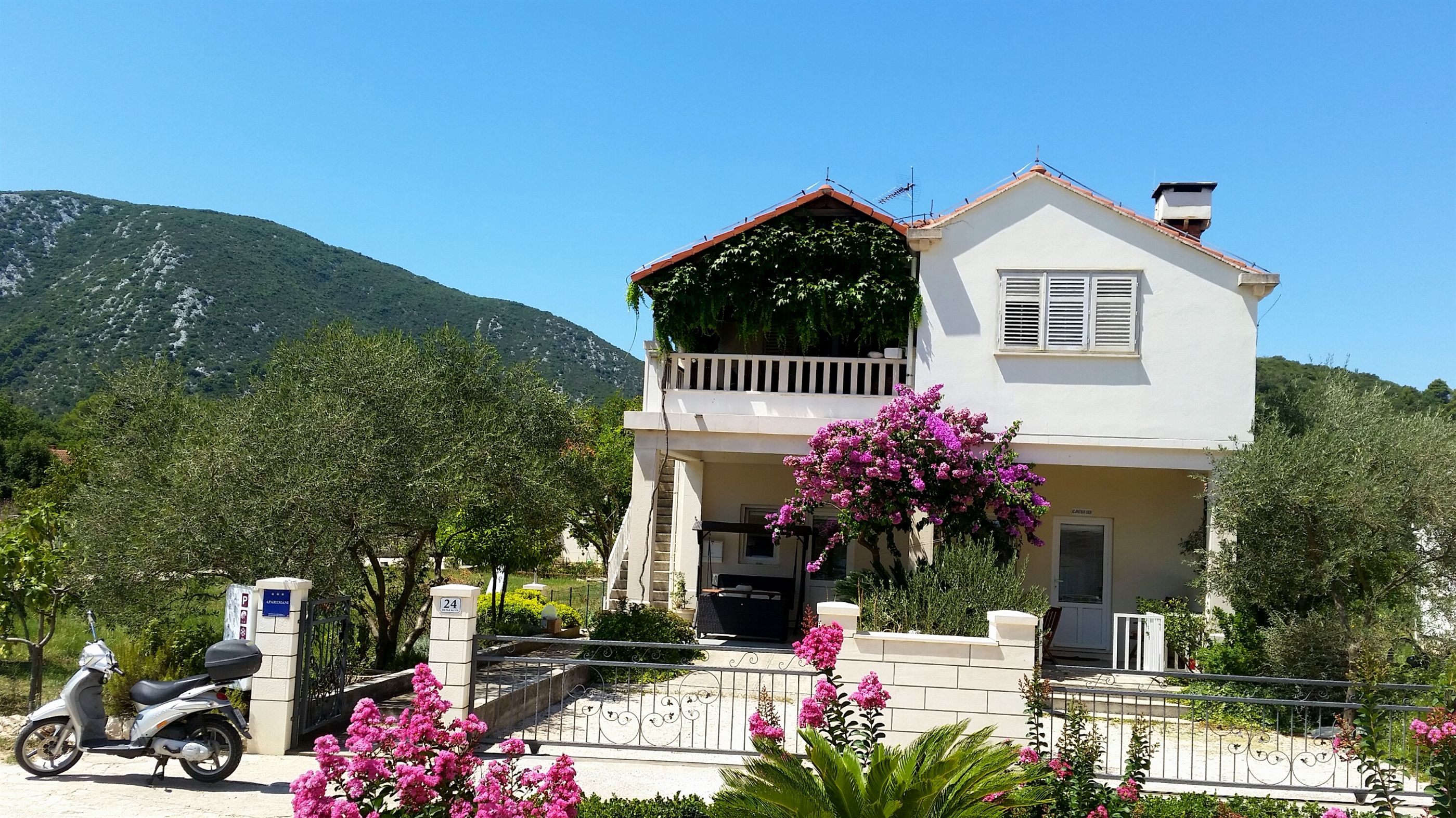 Apartment Damir A2