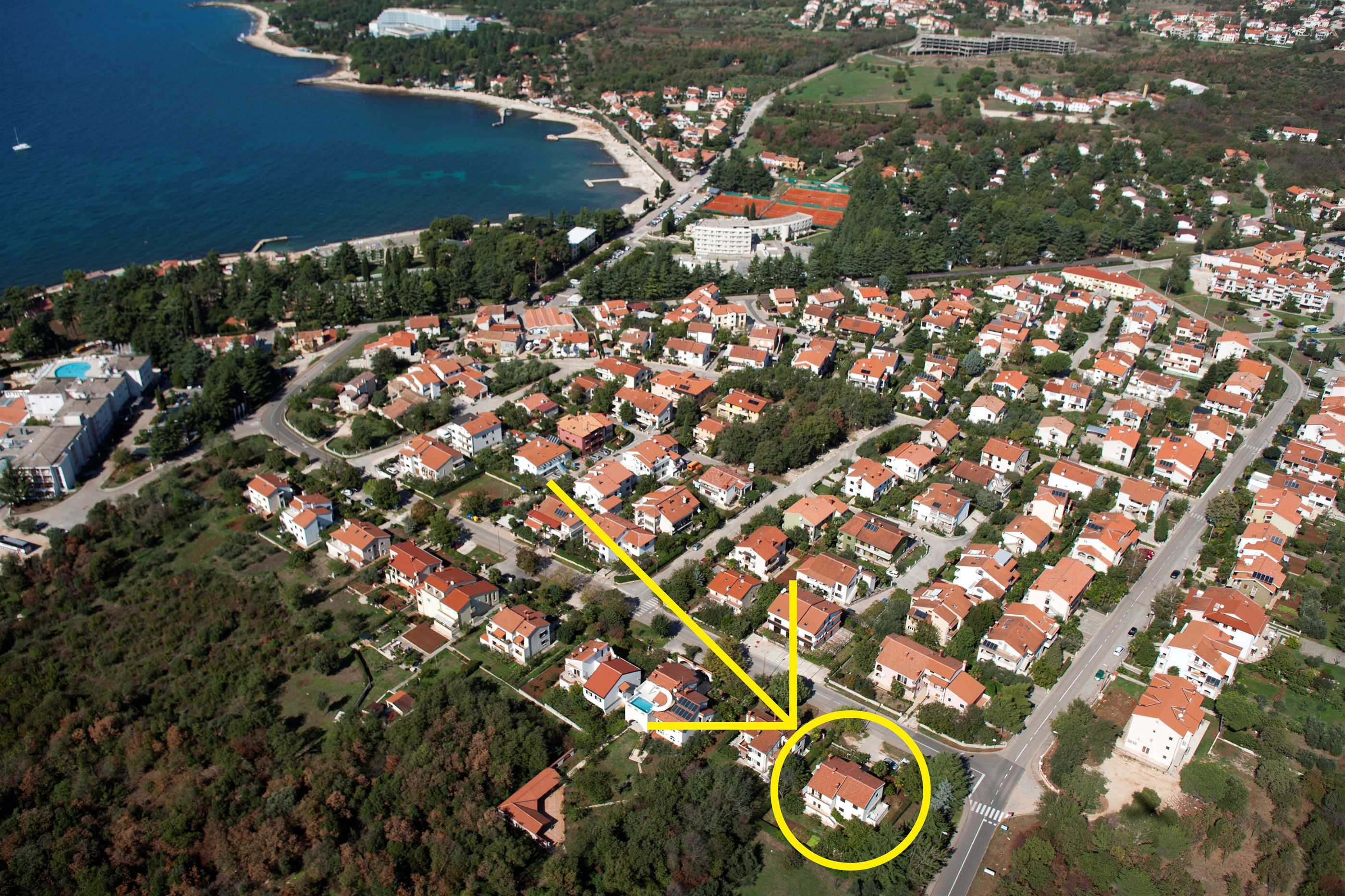 Apartment Vlado 48741-A1