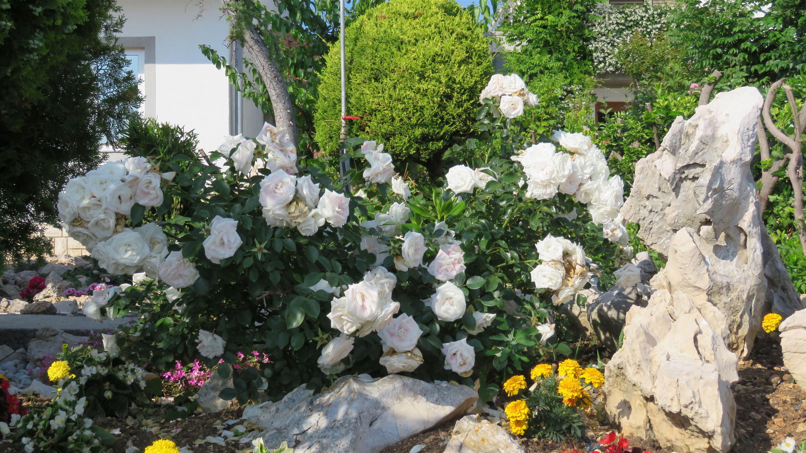 Photo of Apartments Opsenica