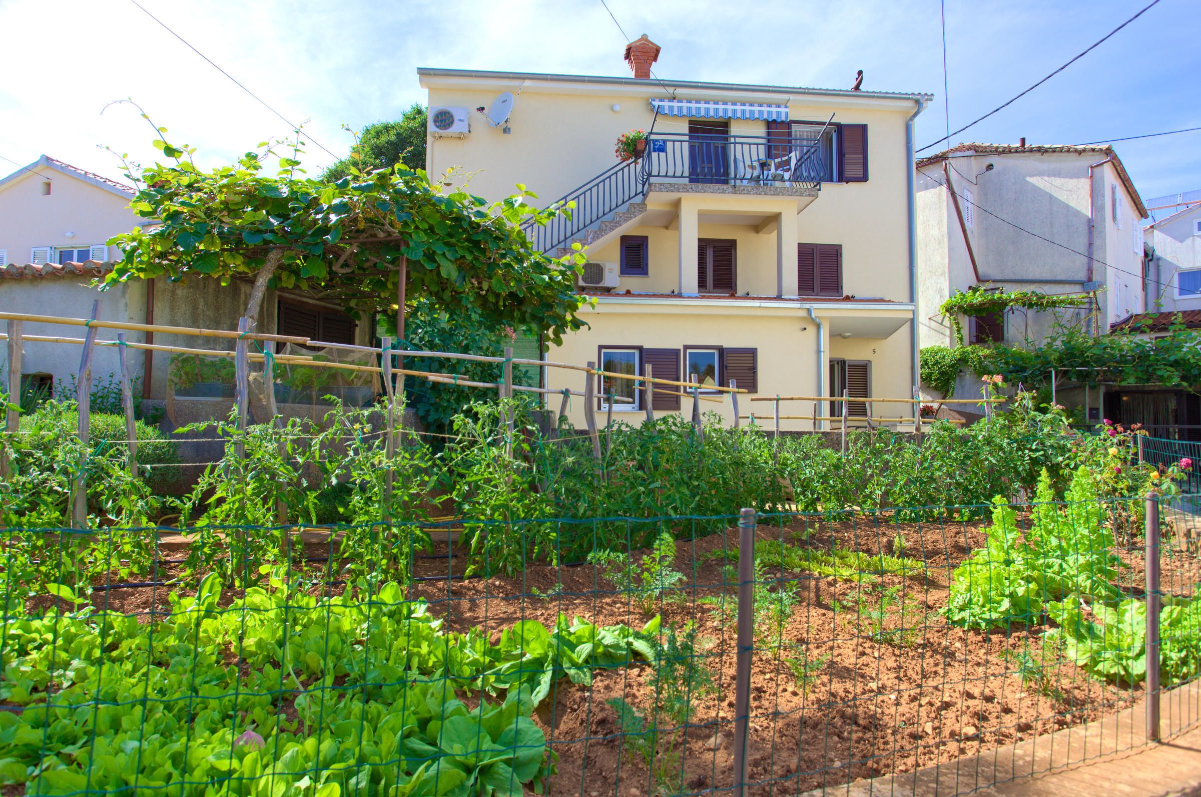 Apartment Iva 62158-A1
