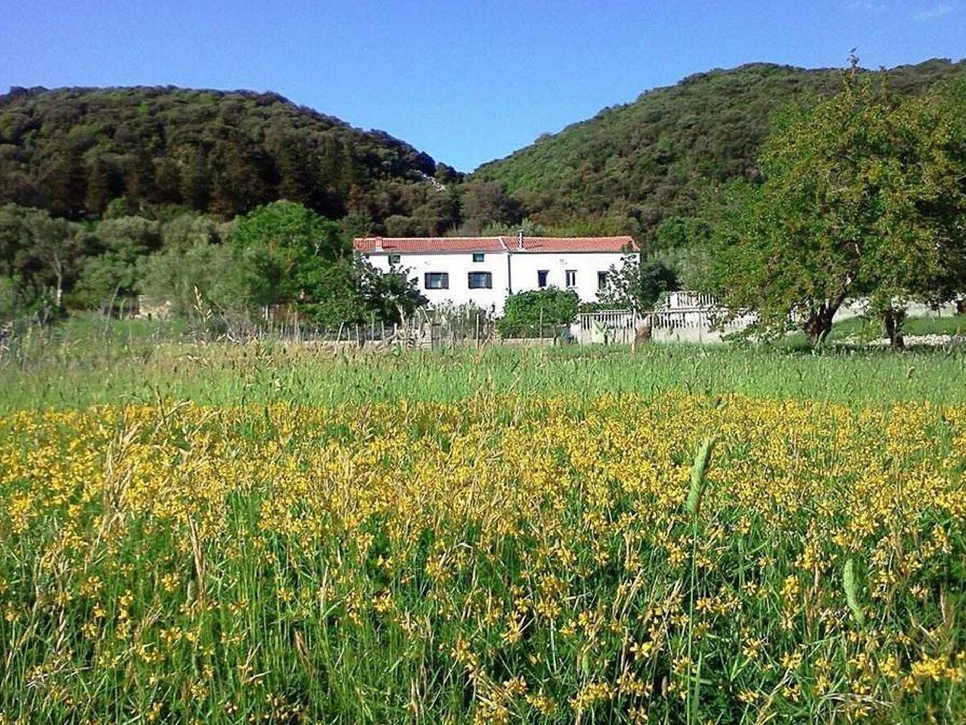 Photo of House Viskić