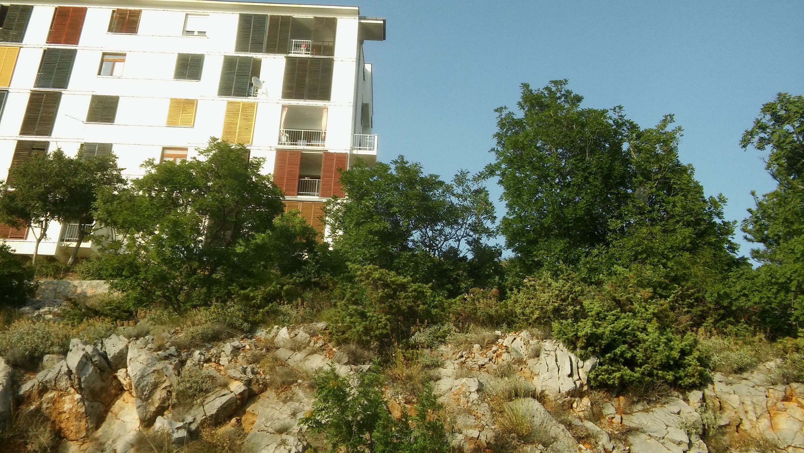 Apartment Anđela 48031-A1