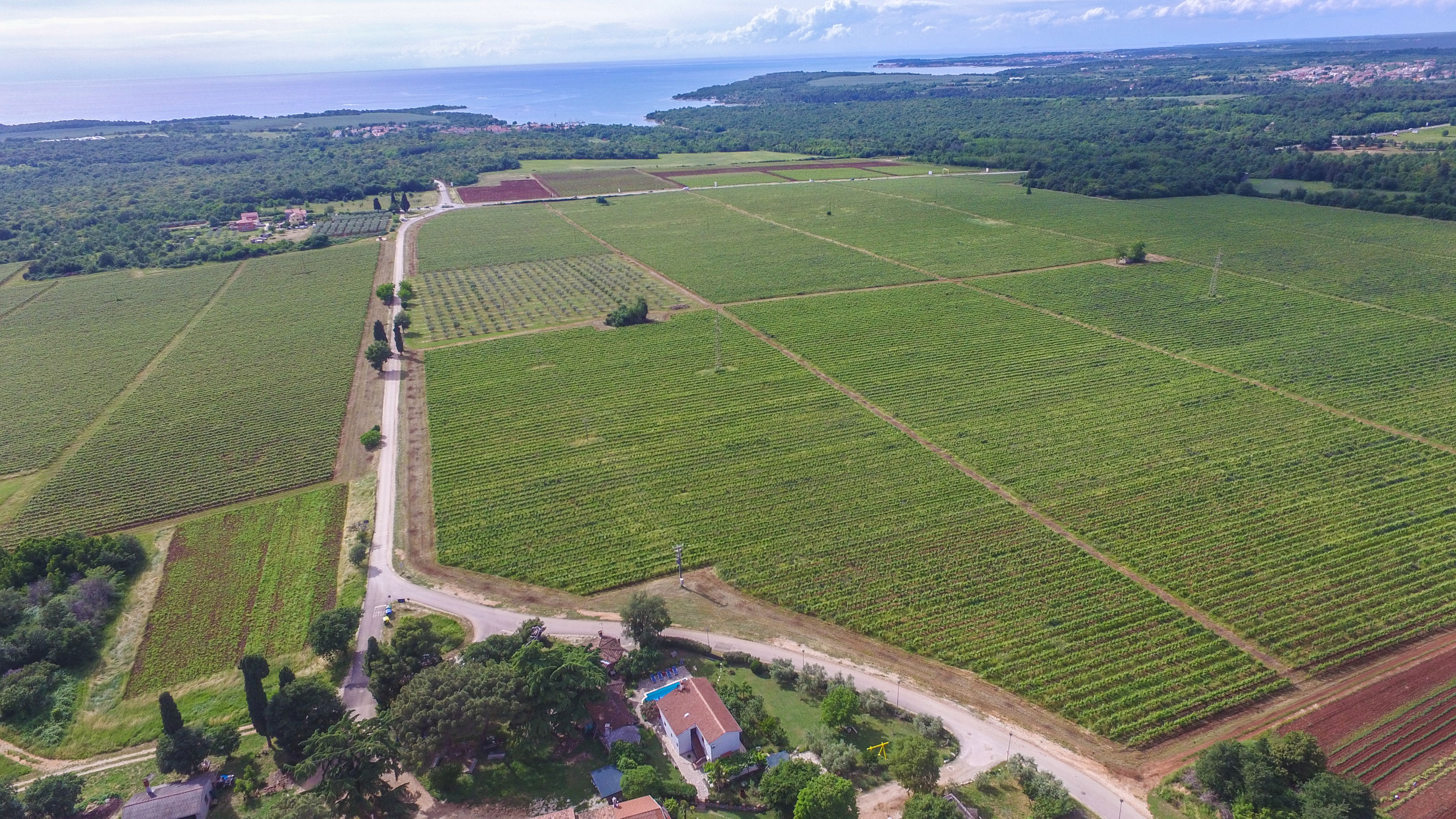 Photo of House Lanima