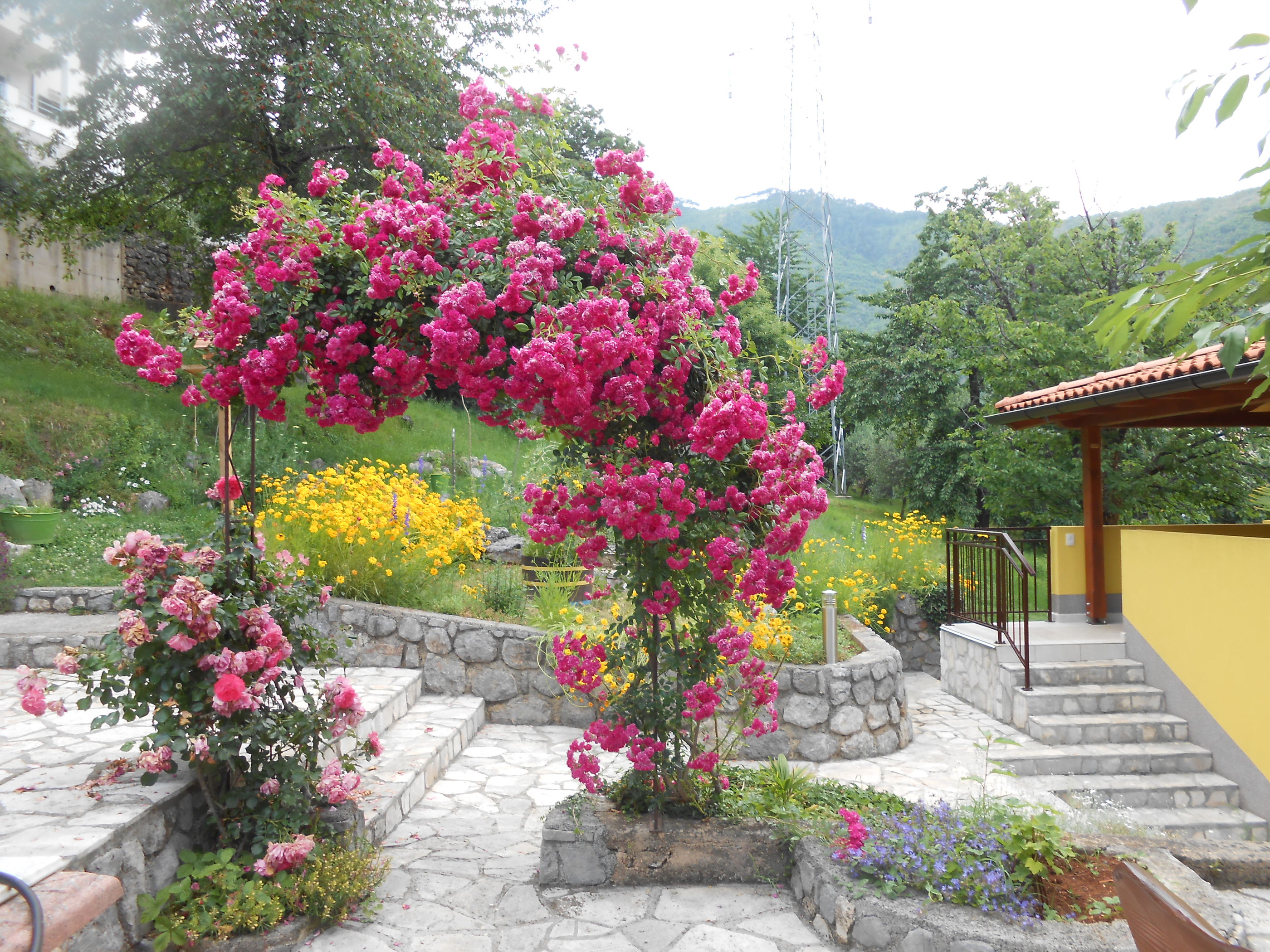 Photo of Apartments VESNA