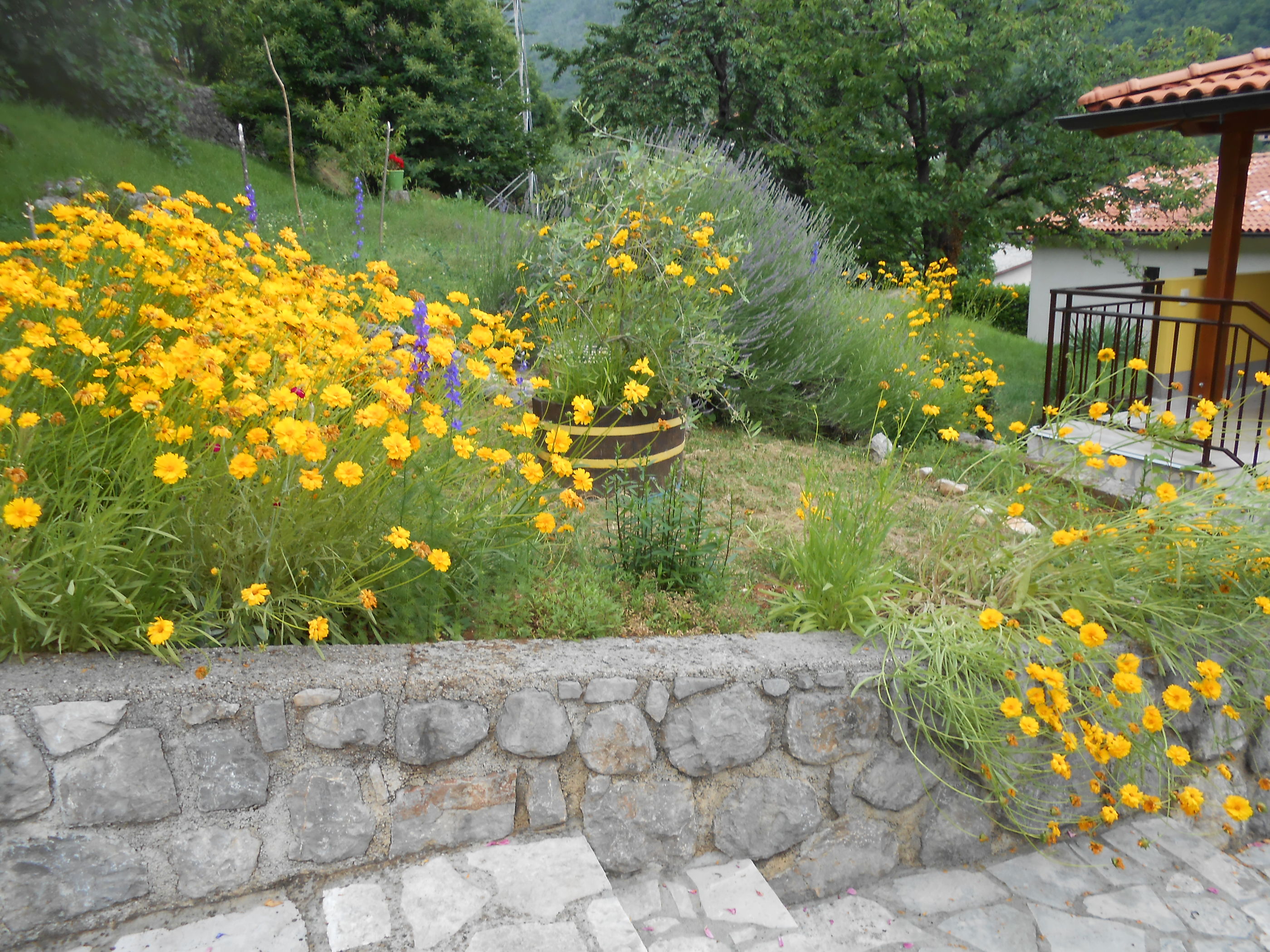 Photo of Apartments VESNA