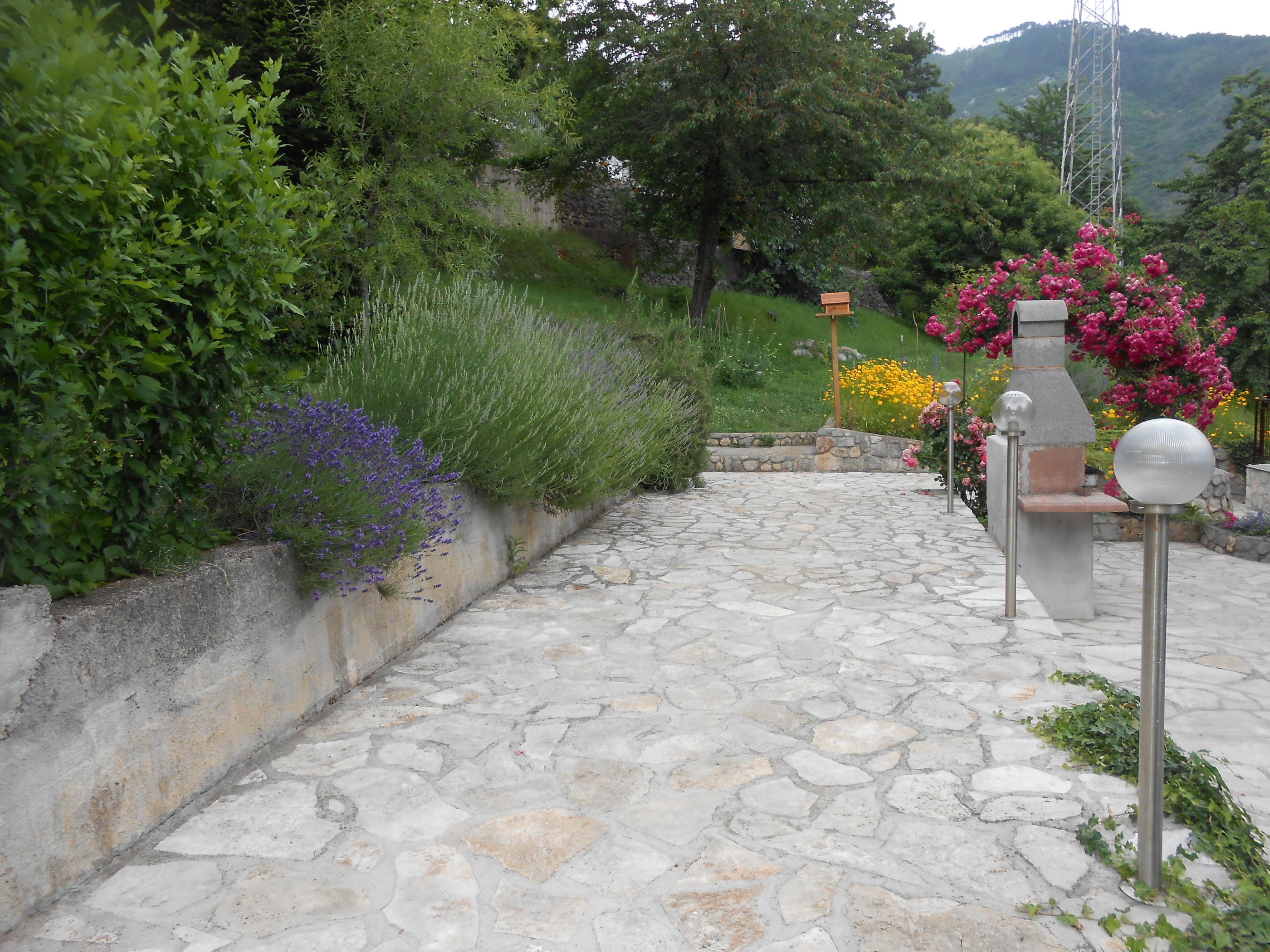 Apartments VESNA 51911-A1