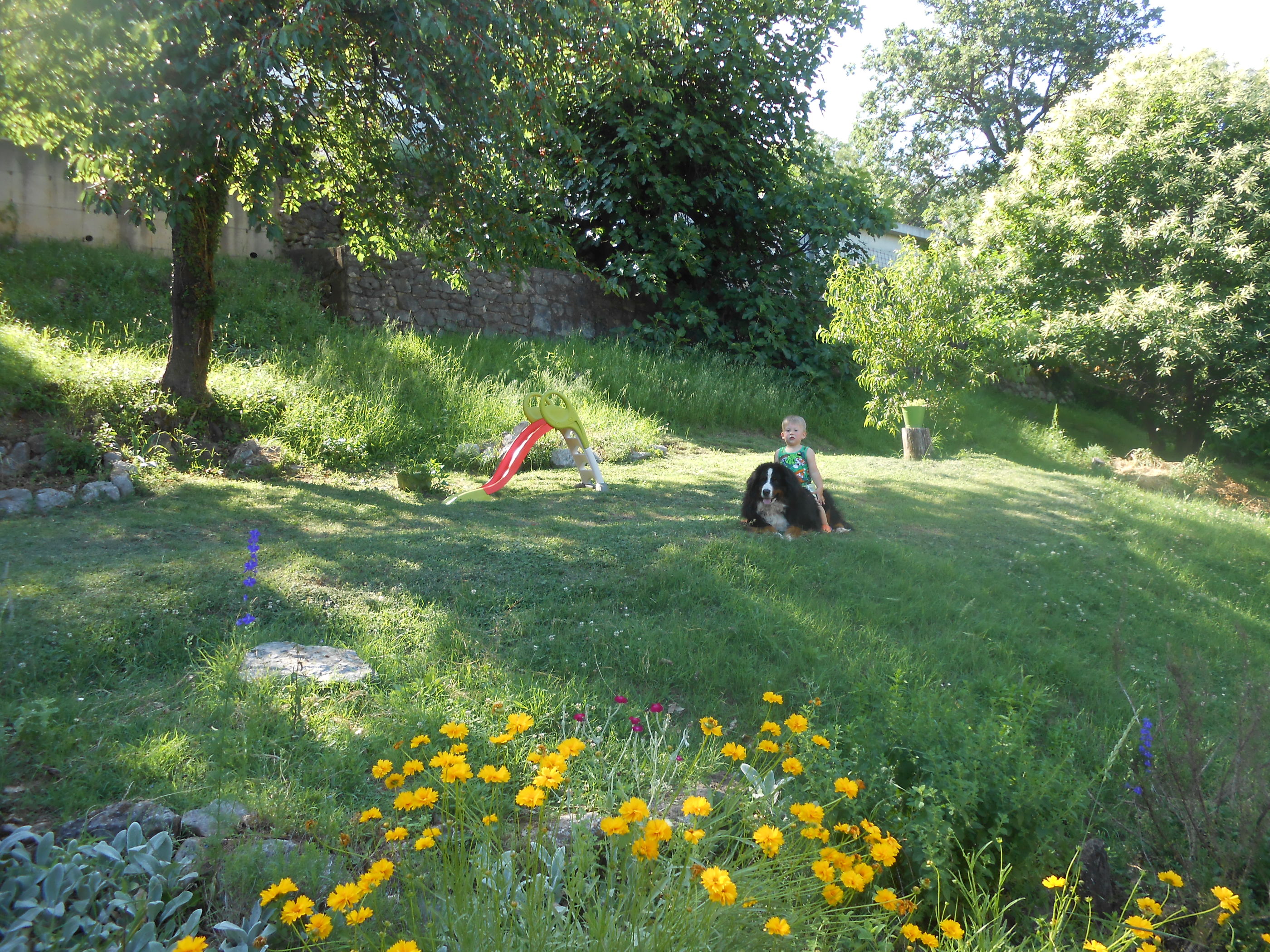 Photo of Apartments VESNA