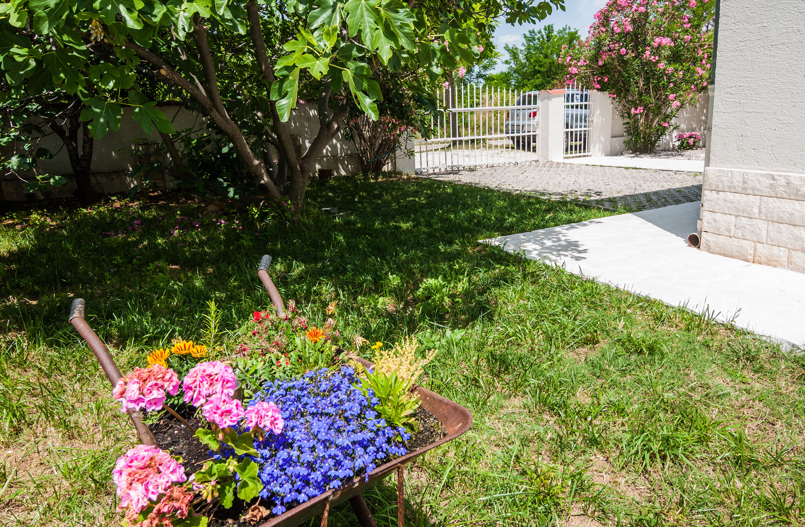 Photo of House Pianeta