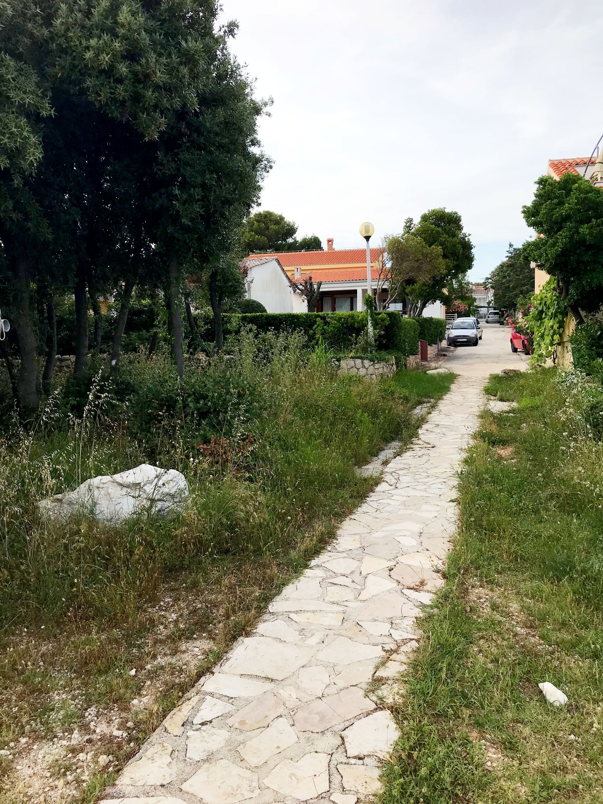 Photo of Apartment Marina