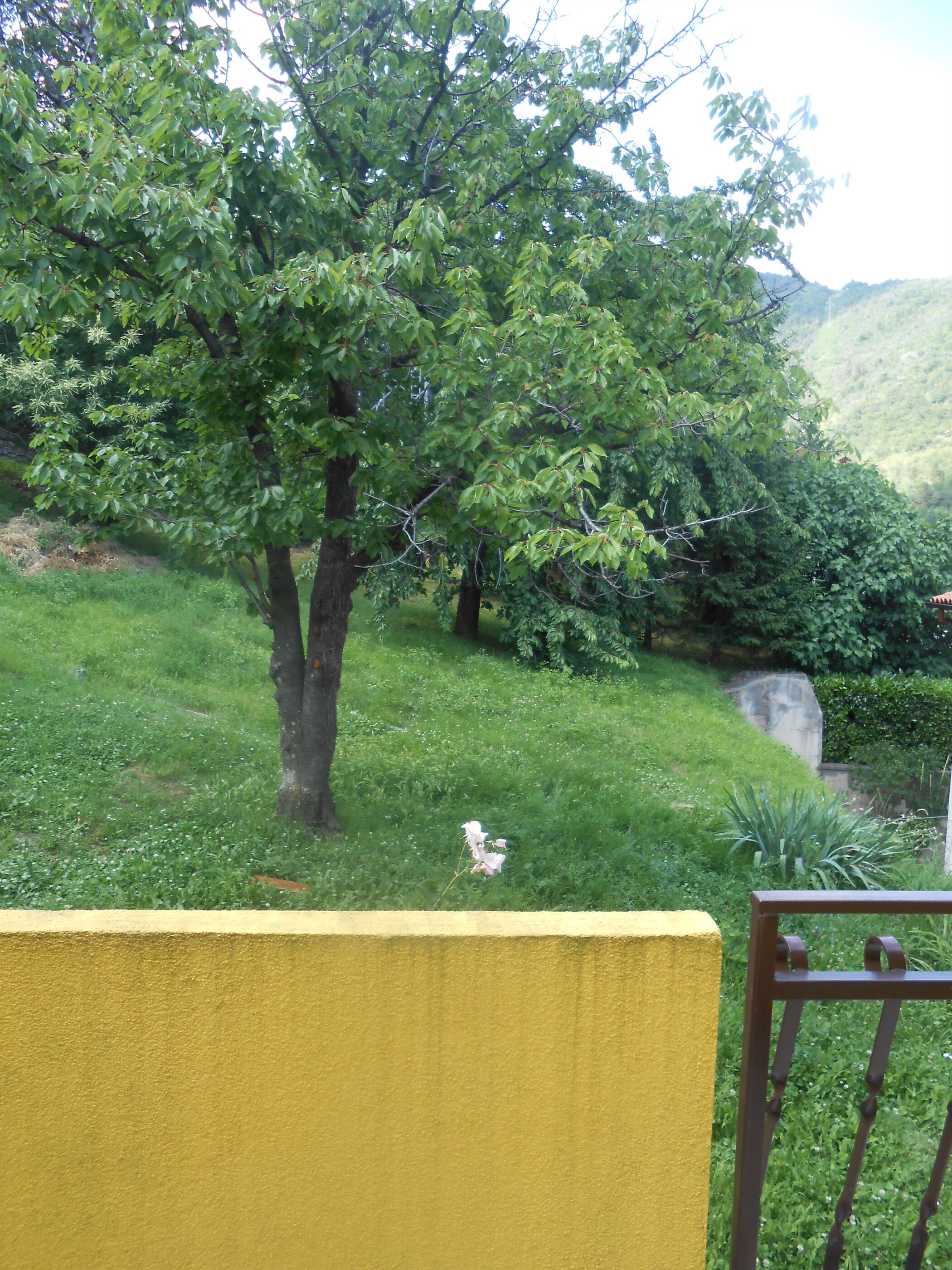 Apartments VESNA 51911-A1