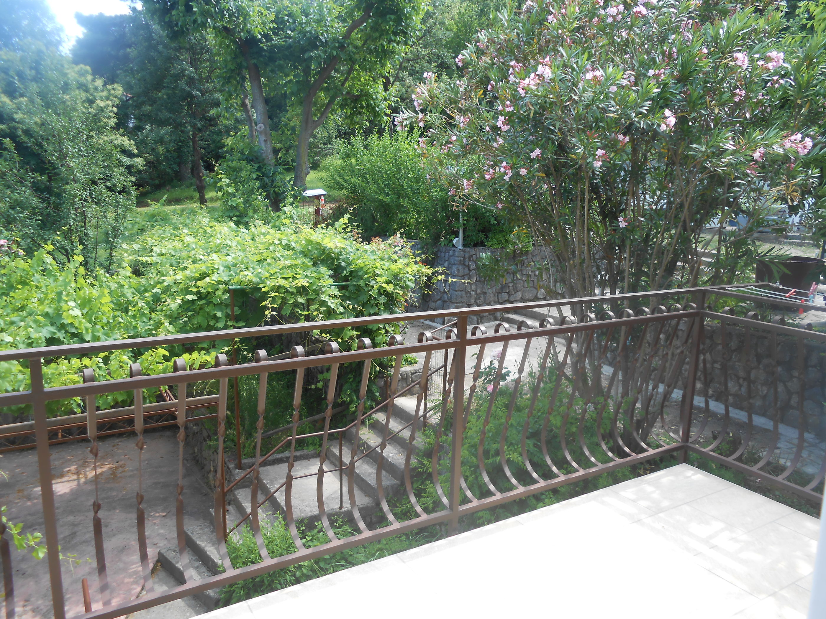Apartments VESNA 51911-A1