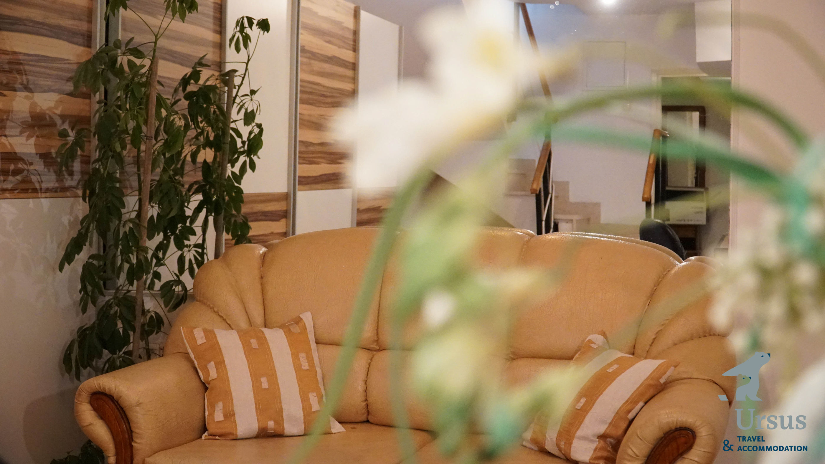 Apartment Tinel 54591-A1
