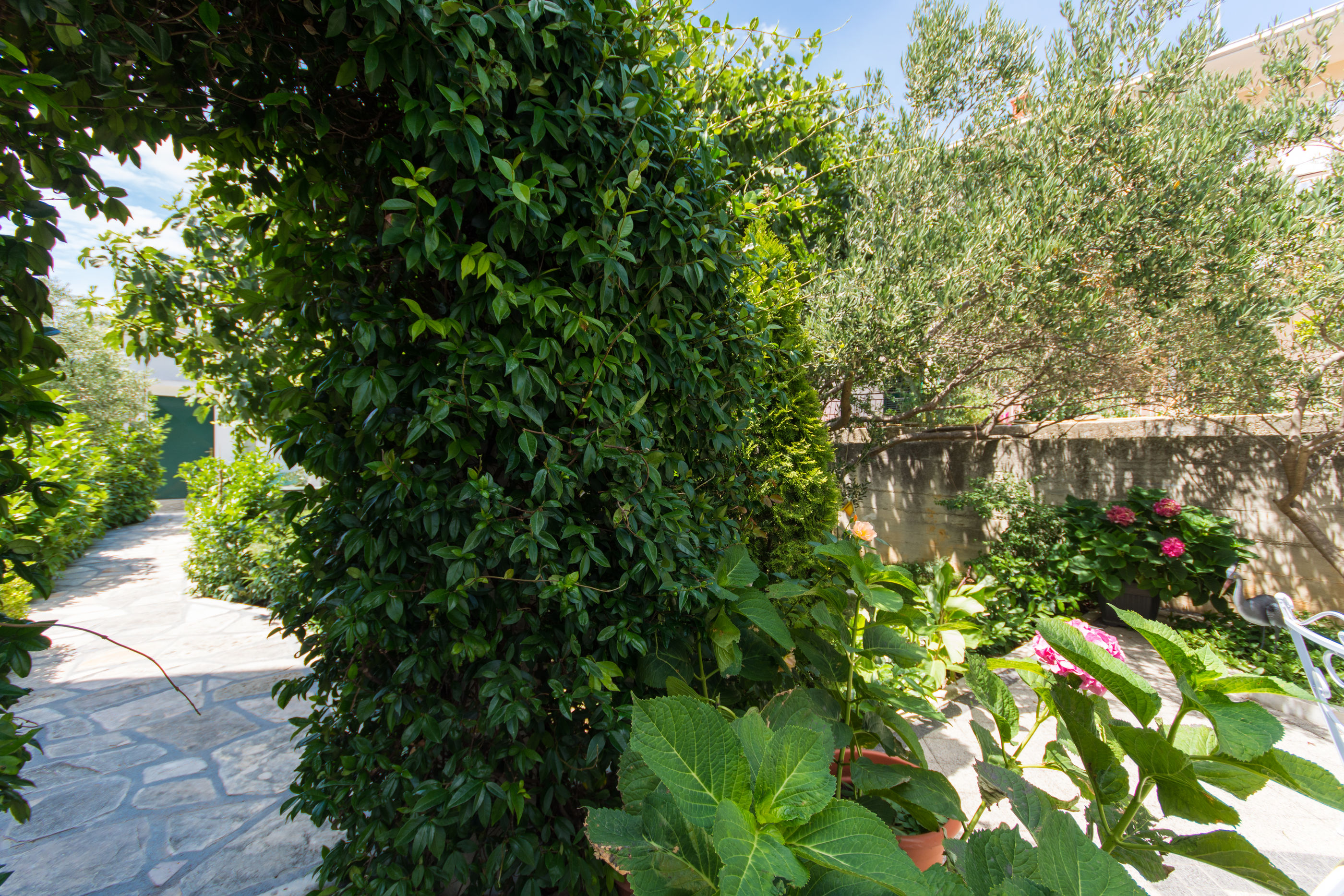 Apartment Lorenzo 54901-A1