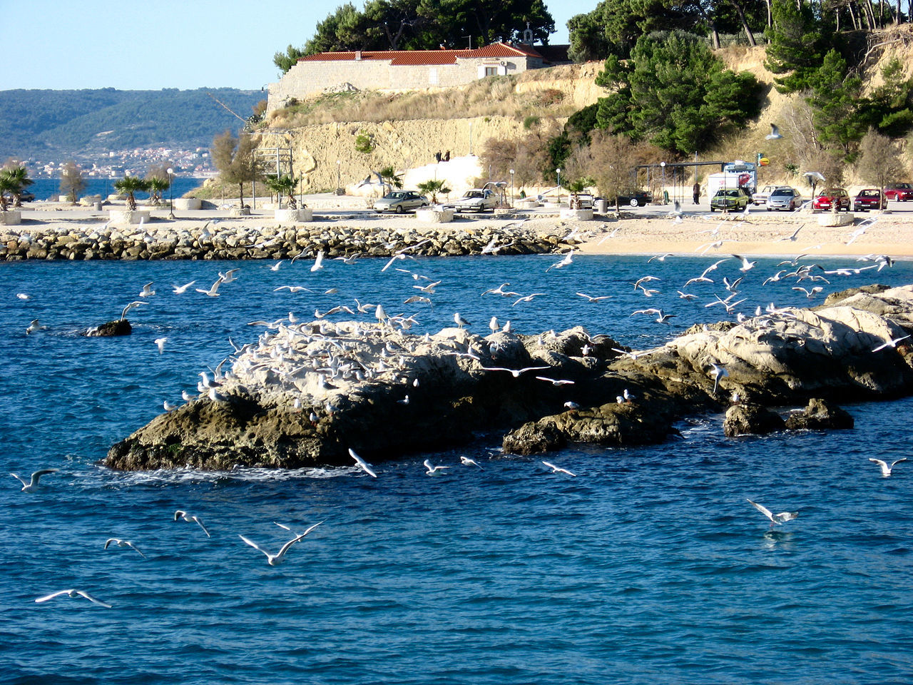 Photo of Apartment Ana