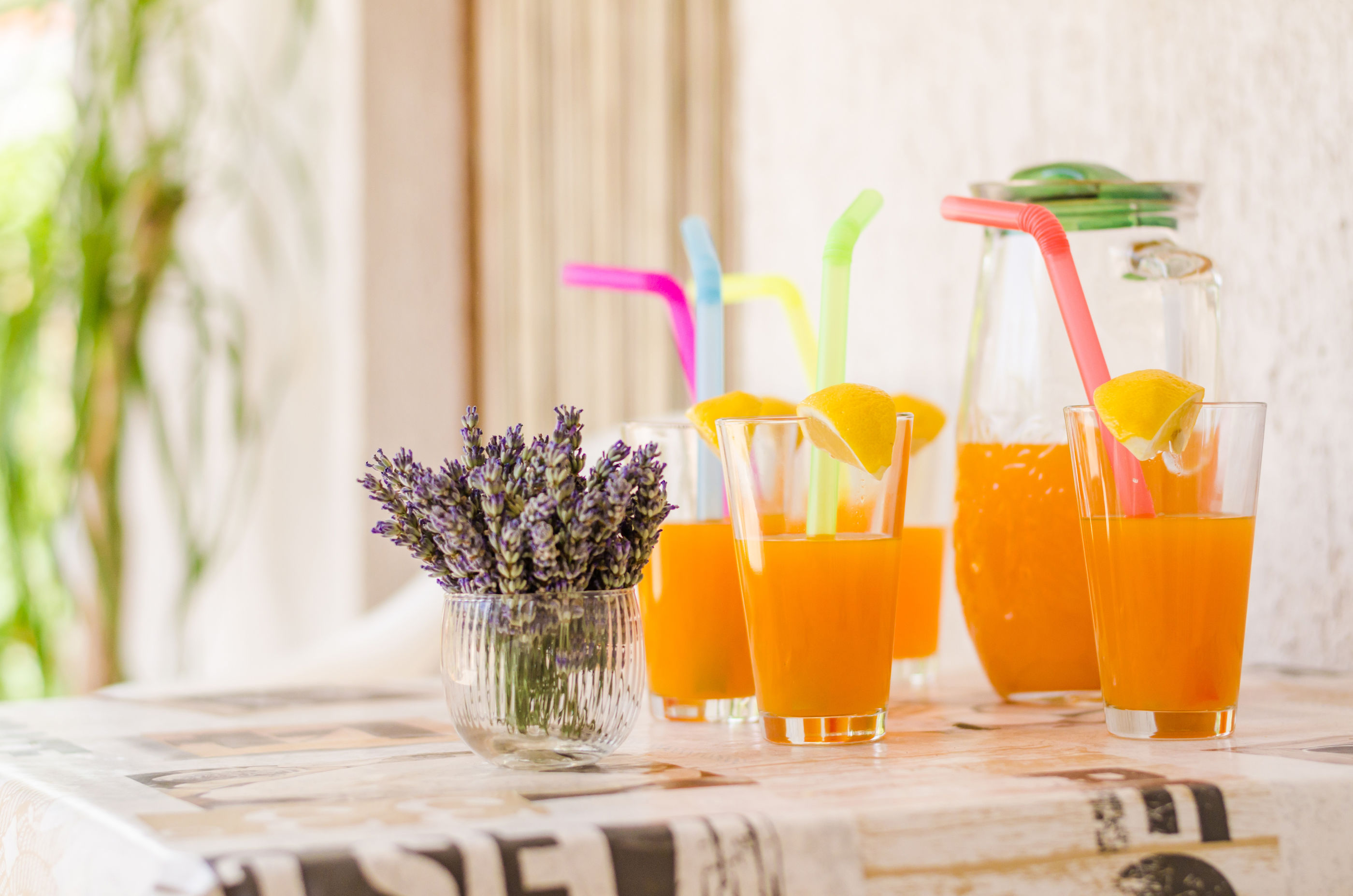 Photo of House Bruno