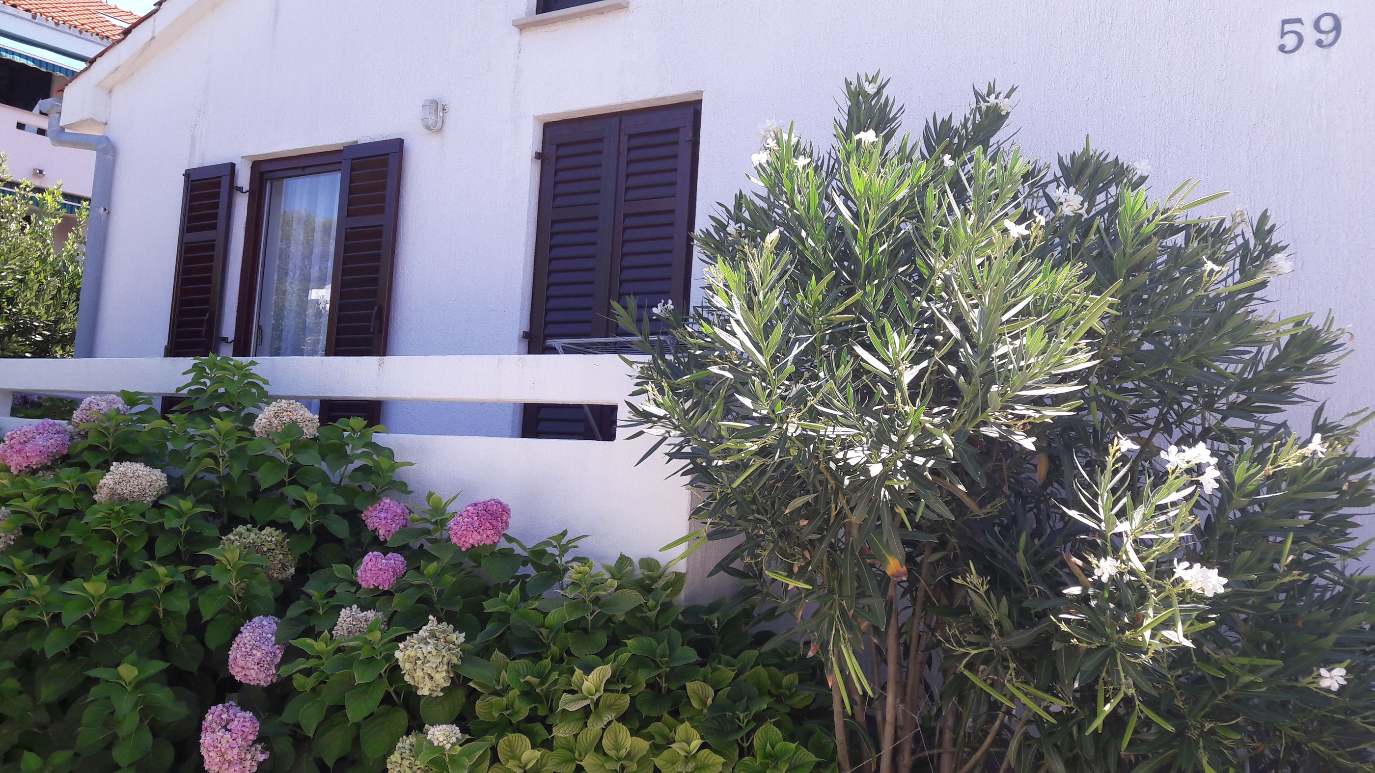 Apartment Nikolina 55221-A1