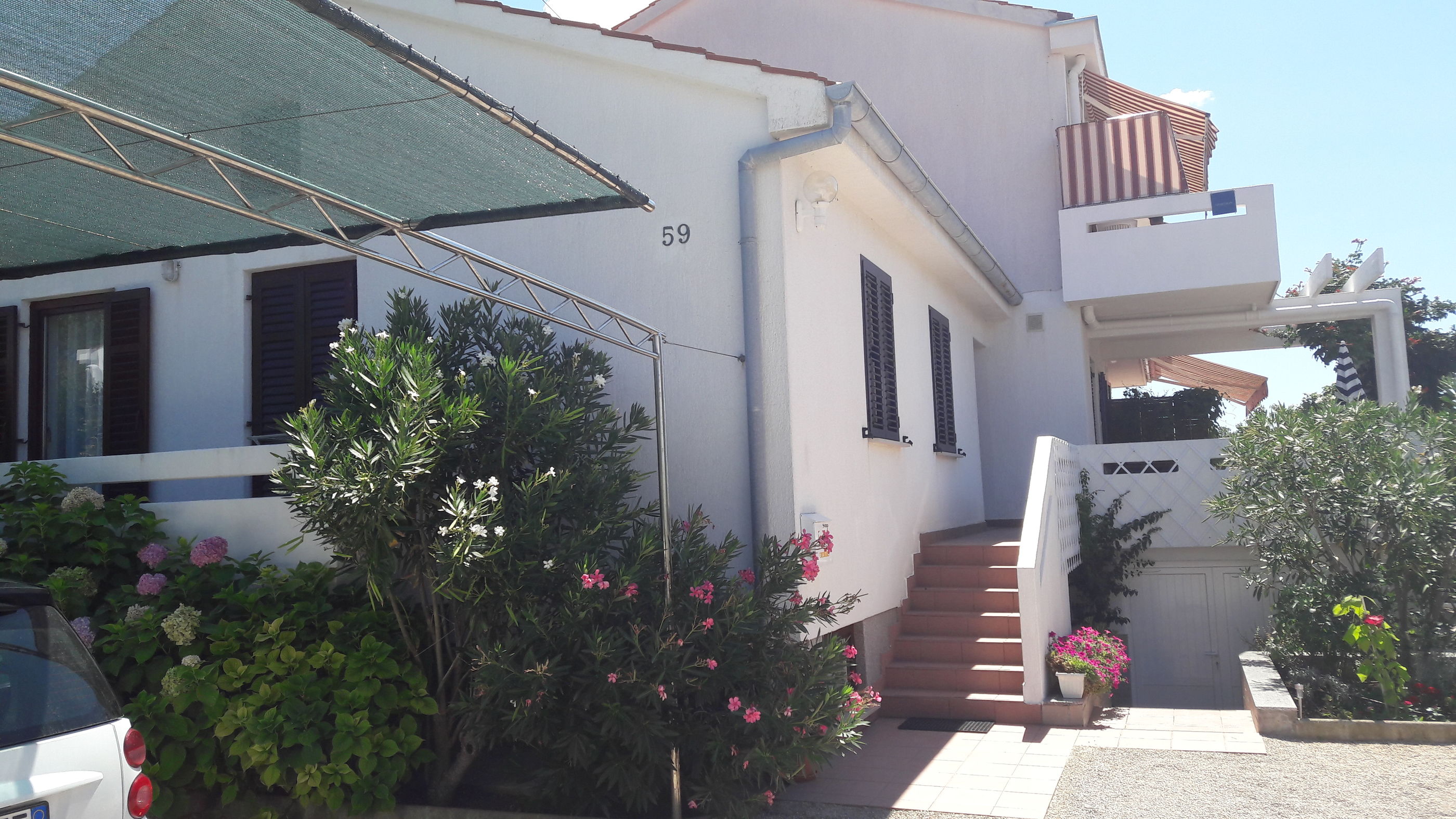 Apartment Nikolina 55221-A1