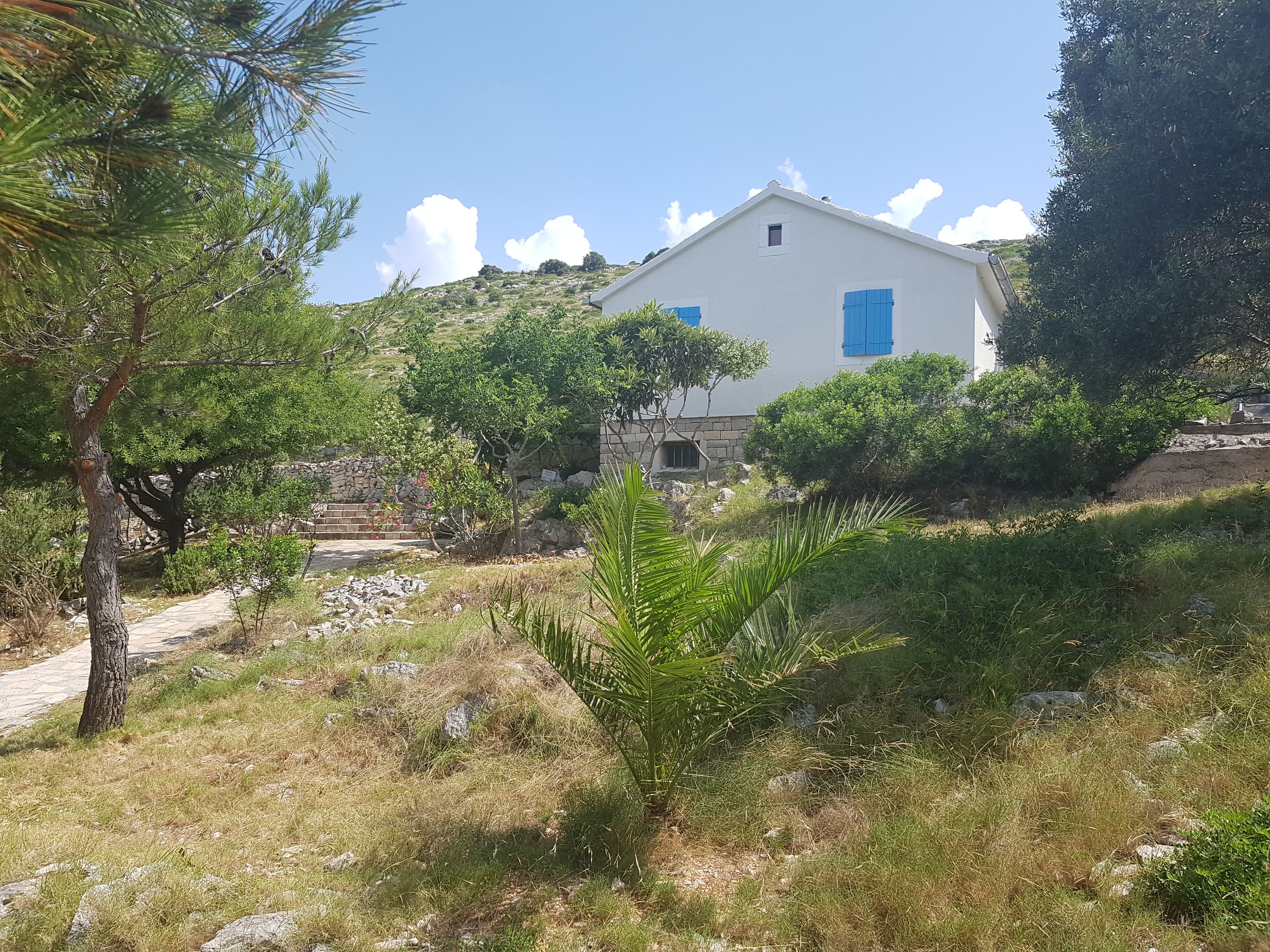 House Otok Sit 55402-K1