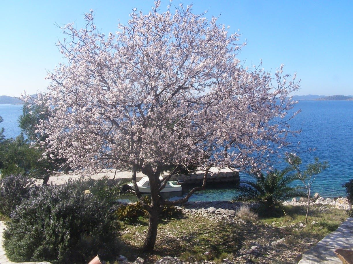 House Otok Sit 55402-K1