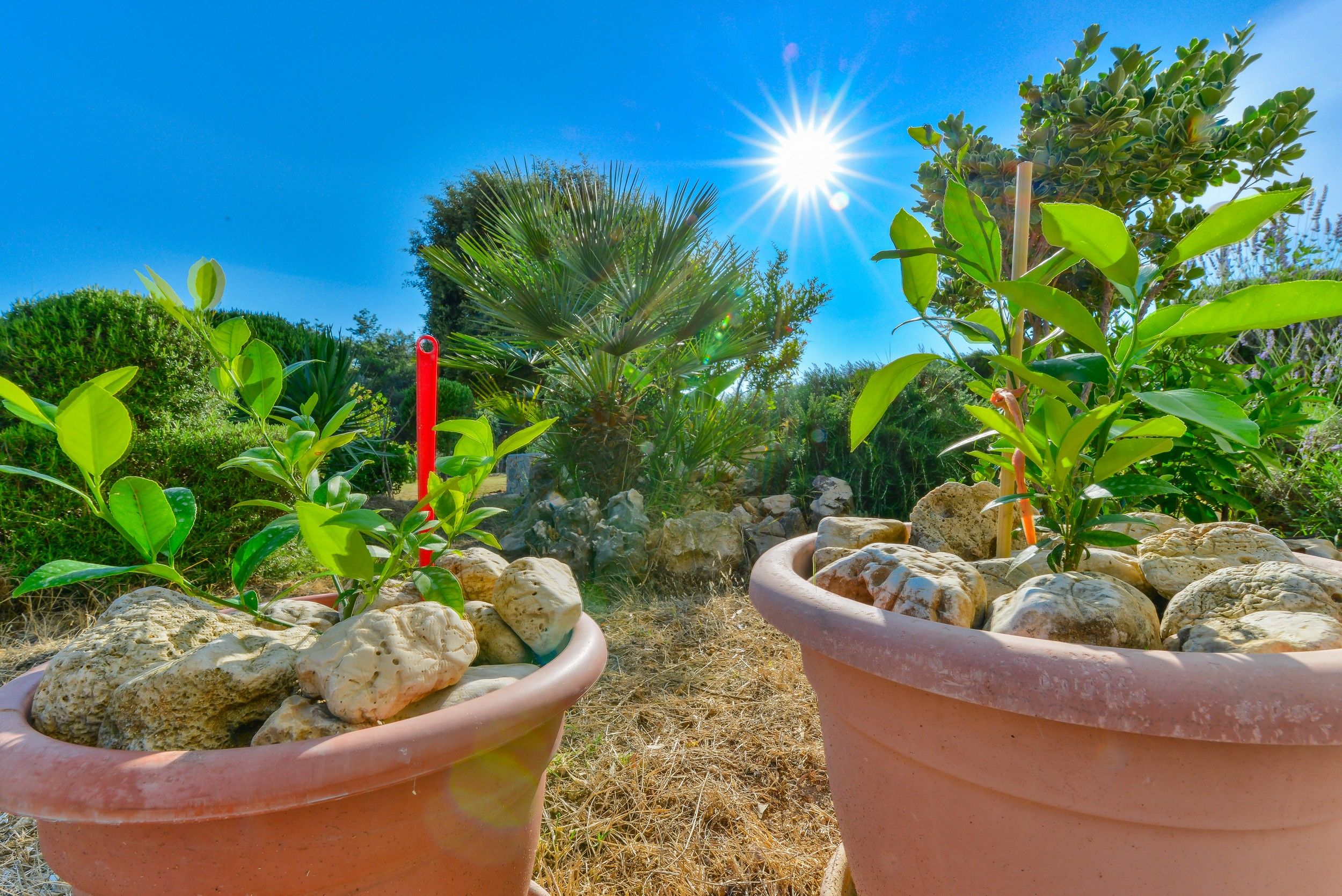 Photo of Apartments Pavlak