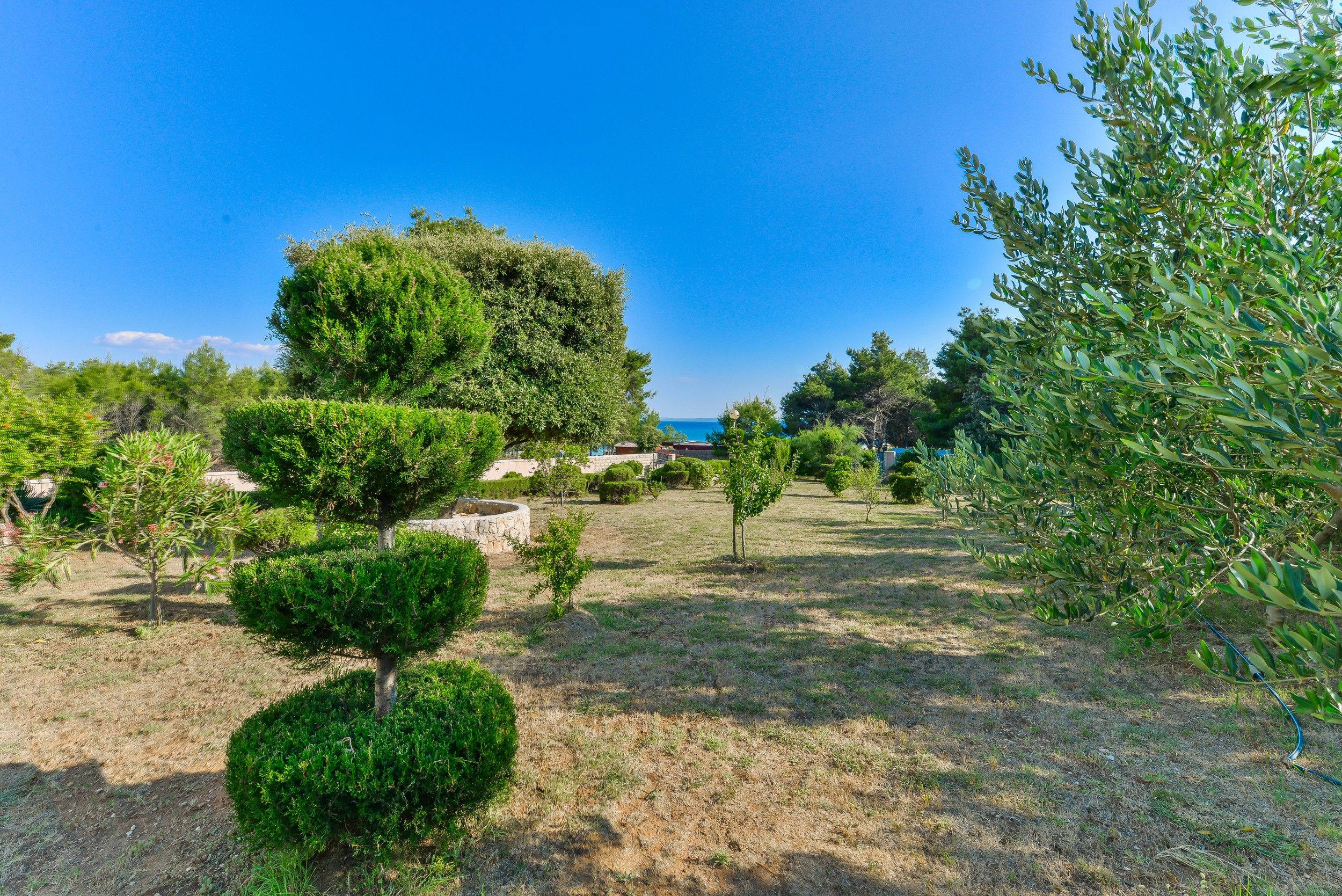 Photo of Apartments Pavlak