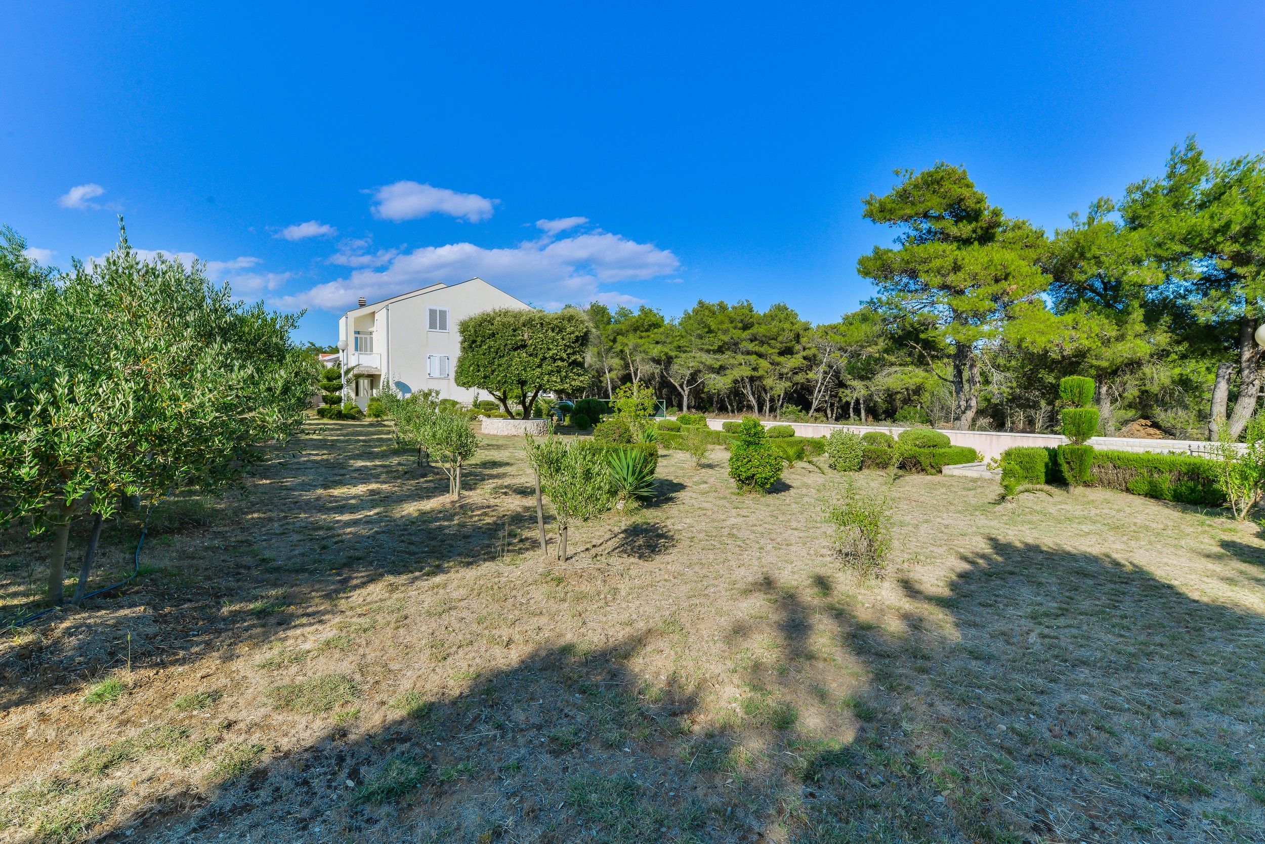 Photo of Apartments Pavlak